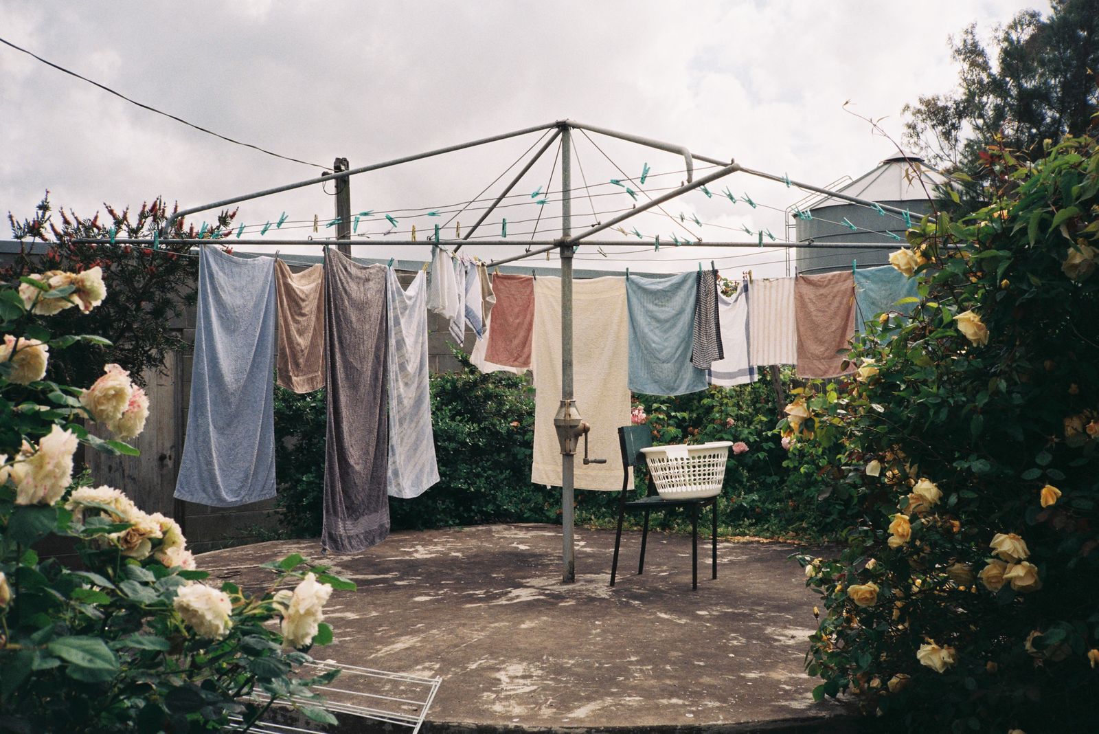 © J Forsyth - Tabor, Australia