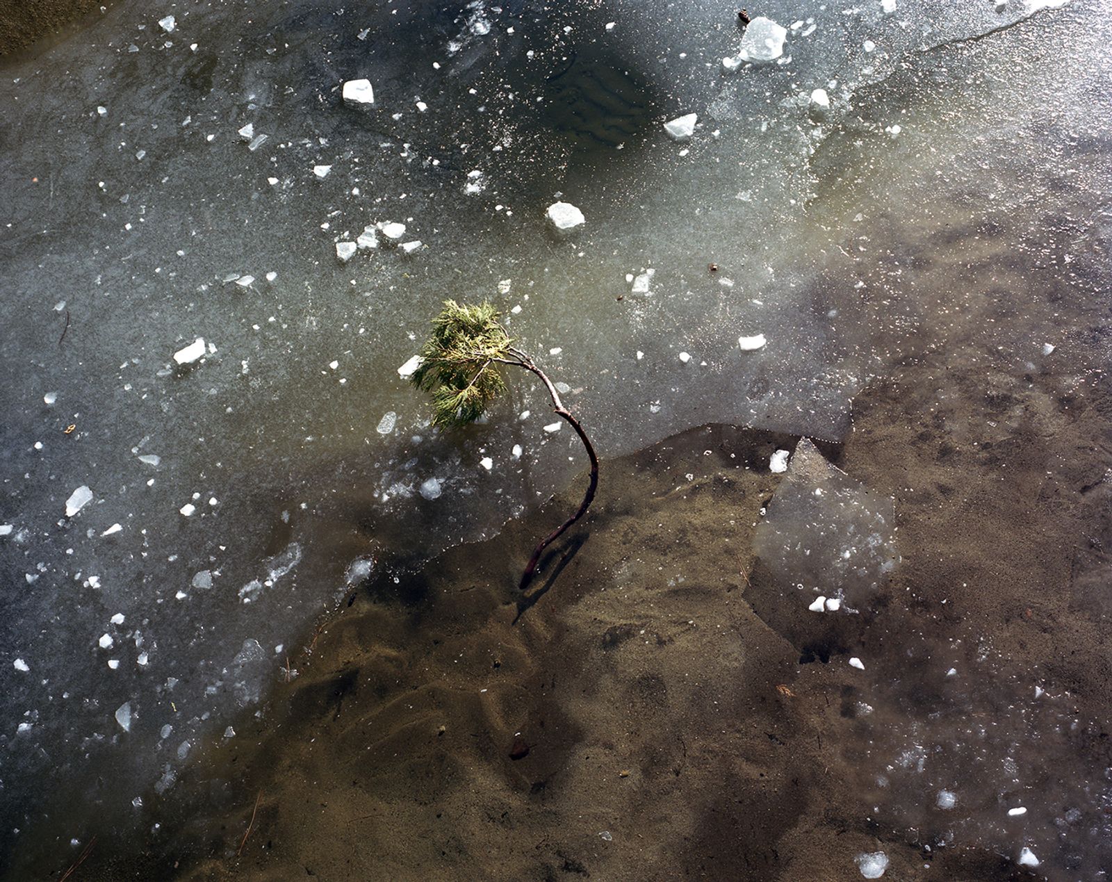 © Maya Meissner - Image from the The Cedar Lodge photography project
