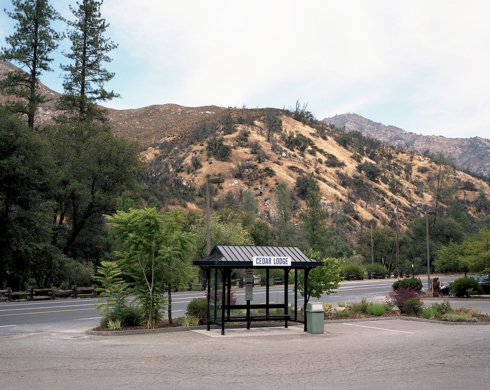 © Maya Meissner - Image from the The Cedar Lodge photography project