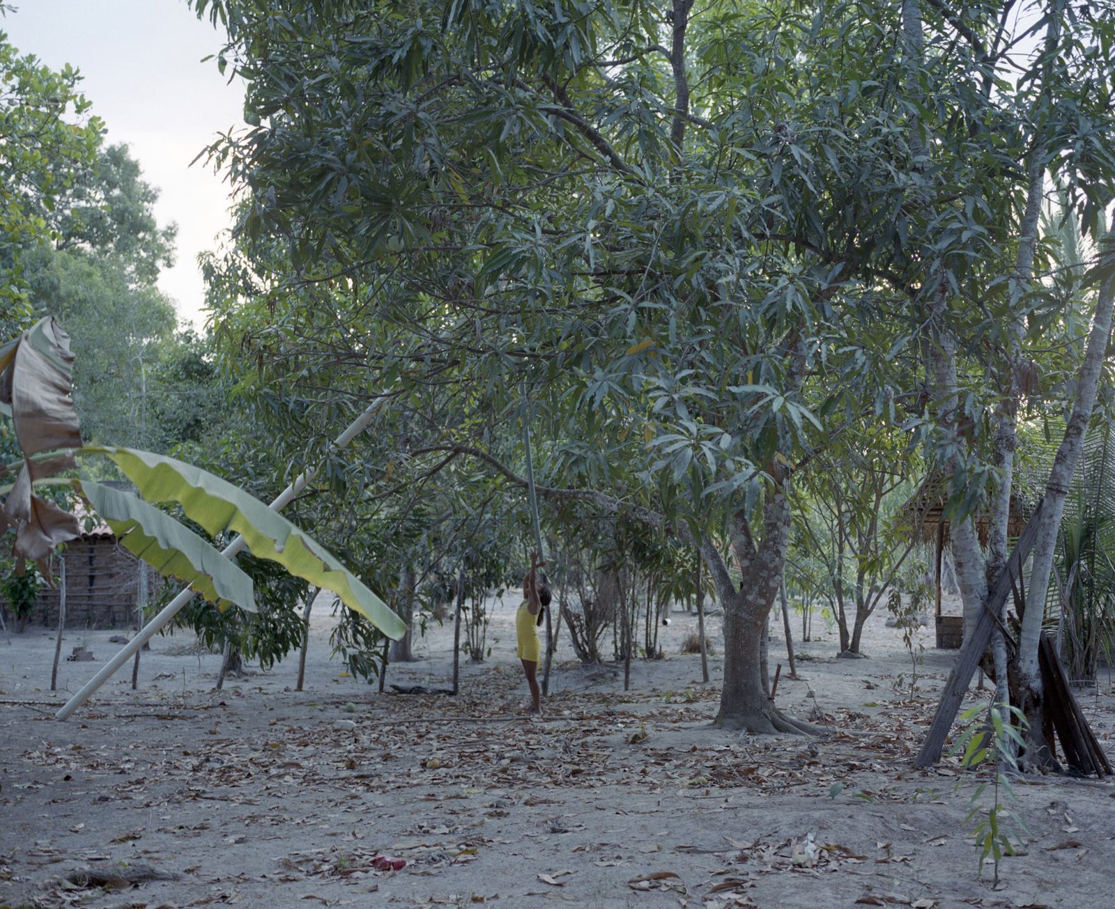 © Tommaso Rada - Image from the Frames of Struggle photography project