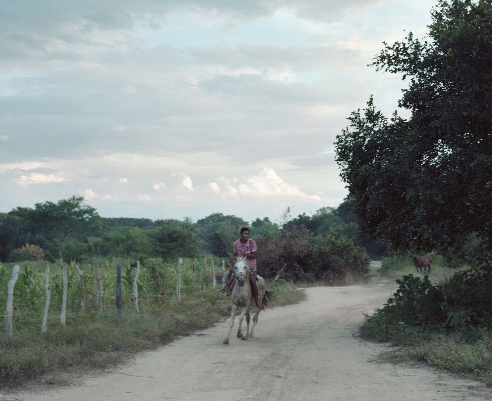 © Tommaso Rada - Image from the Frames of Struggle photography project