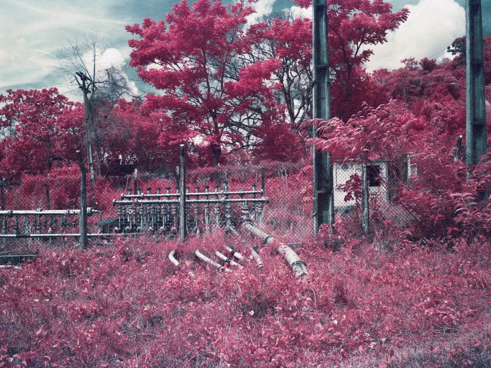 © Tommaso Rada - Ilha da Maré. Infrared color image of an oil well located on the Island.