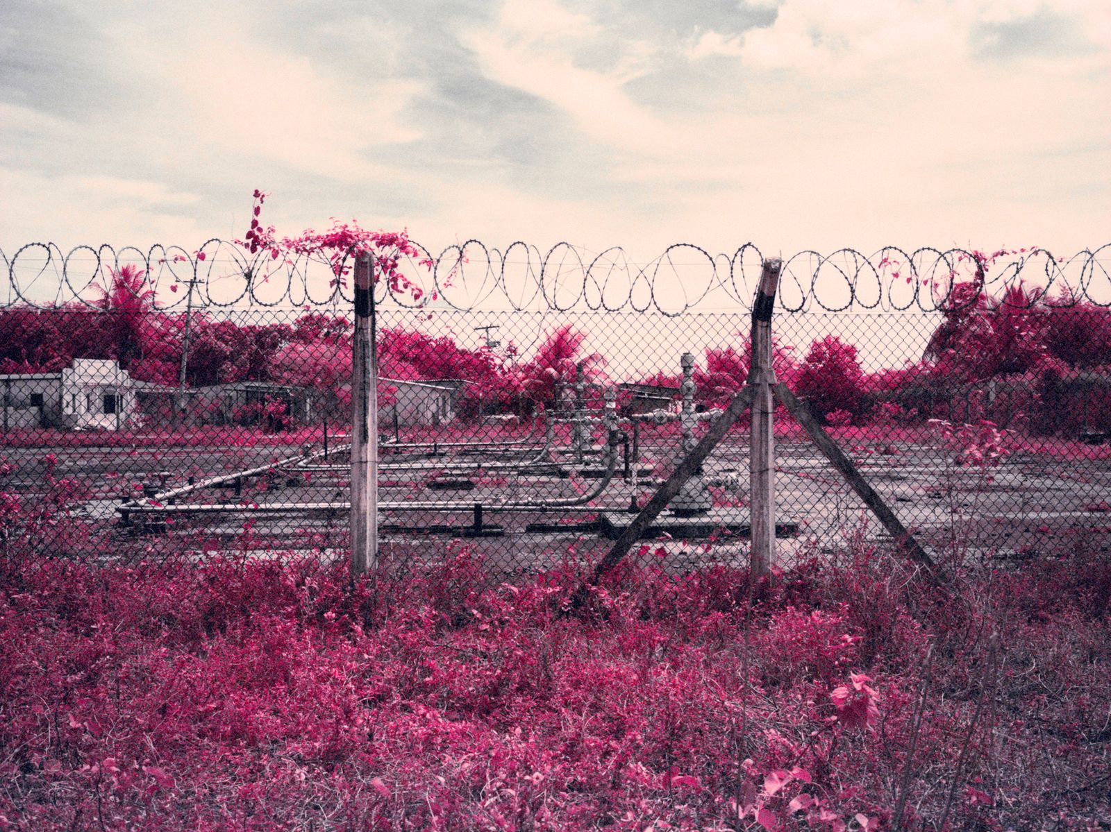 © Tommaso Rada - Ilha da Maré. Infrared color image of an oil well located on the Island.