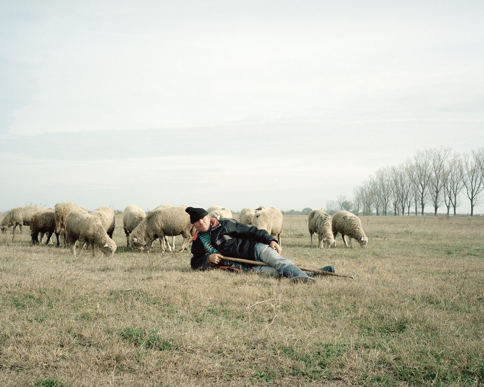 © Tommaso Rada - Romania, Calarasi. A farmer with his sheep.