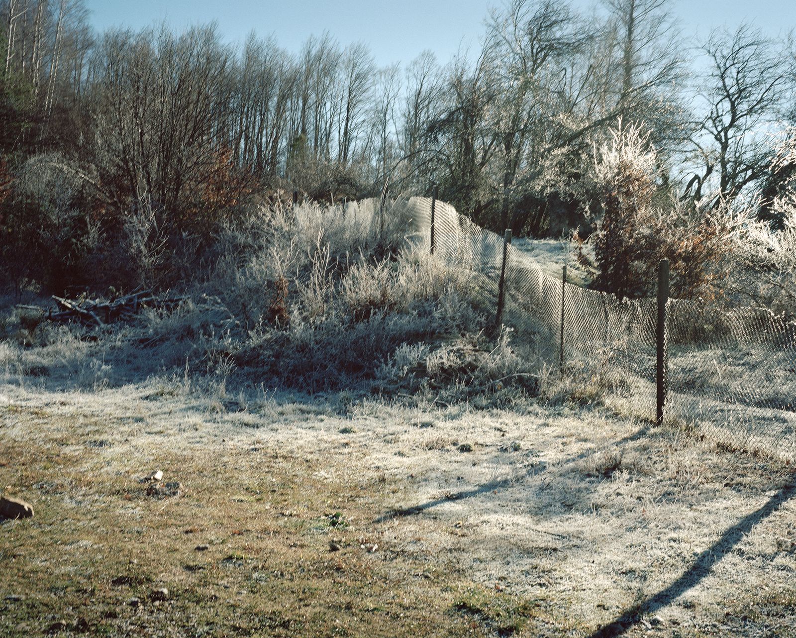 © Tommaso Rada - Bulgaria, Rudozen. The fence part of the old Iron Curtain that was separating Bulgaria from Greece.