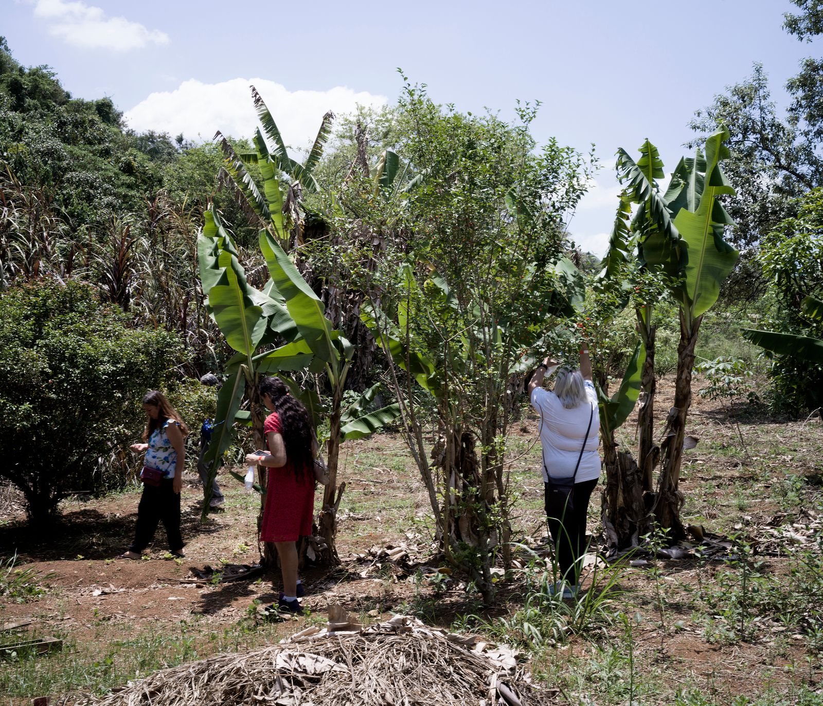 © Tommaso Rada - Patients of the CAPS (Psico-social care center) visit the MST occupation.