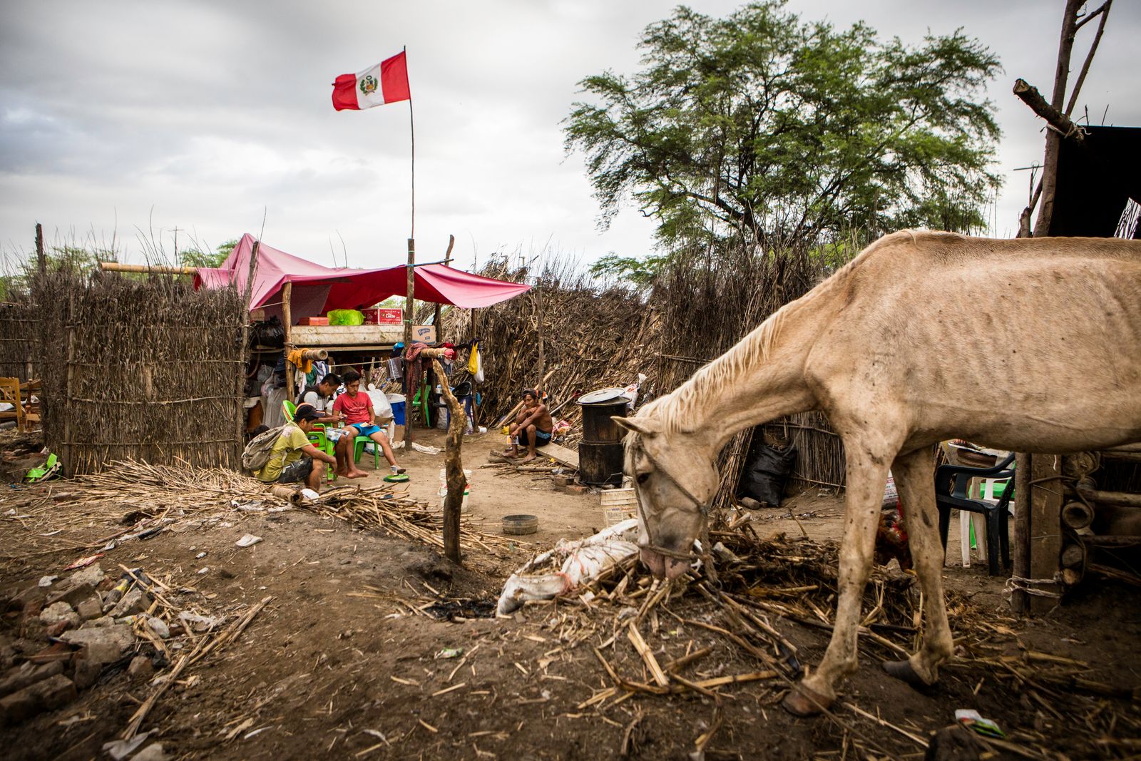 © Liz Tasa - Image from the Beneath the Río Piura photography project