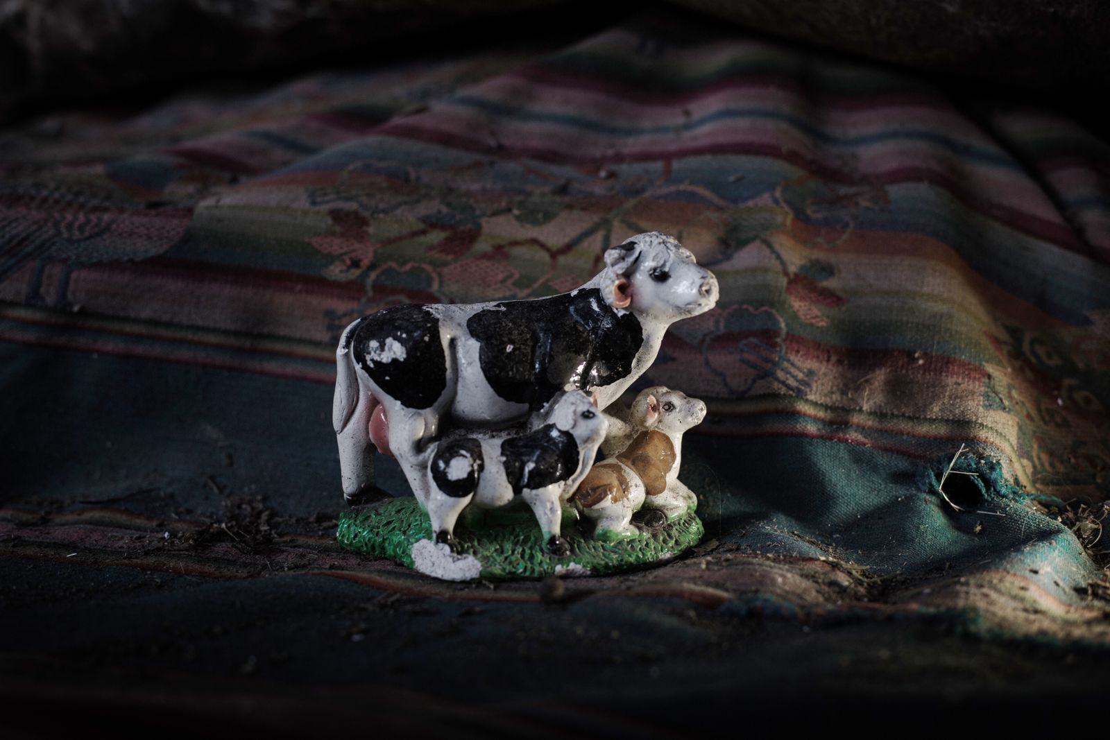 © Liz Tasa - Image from the Kápar photography project