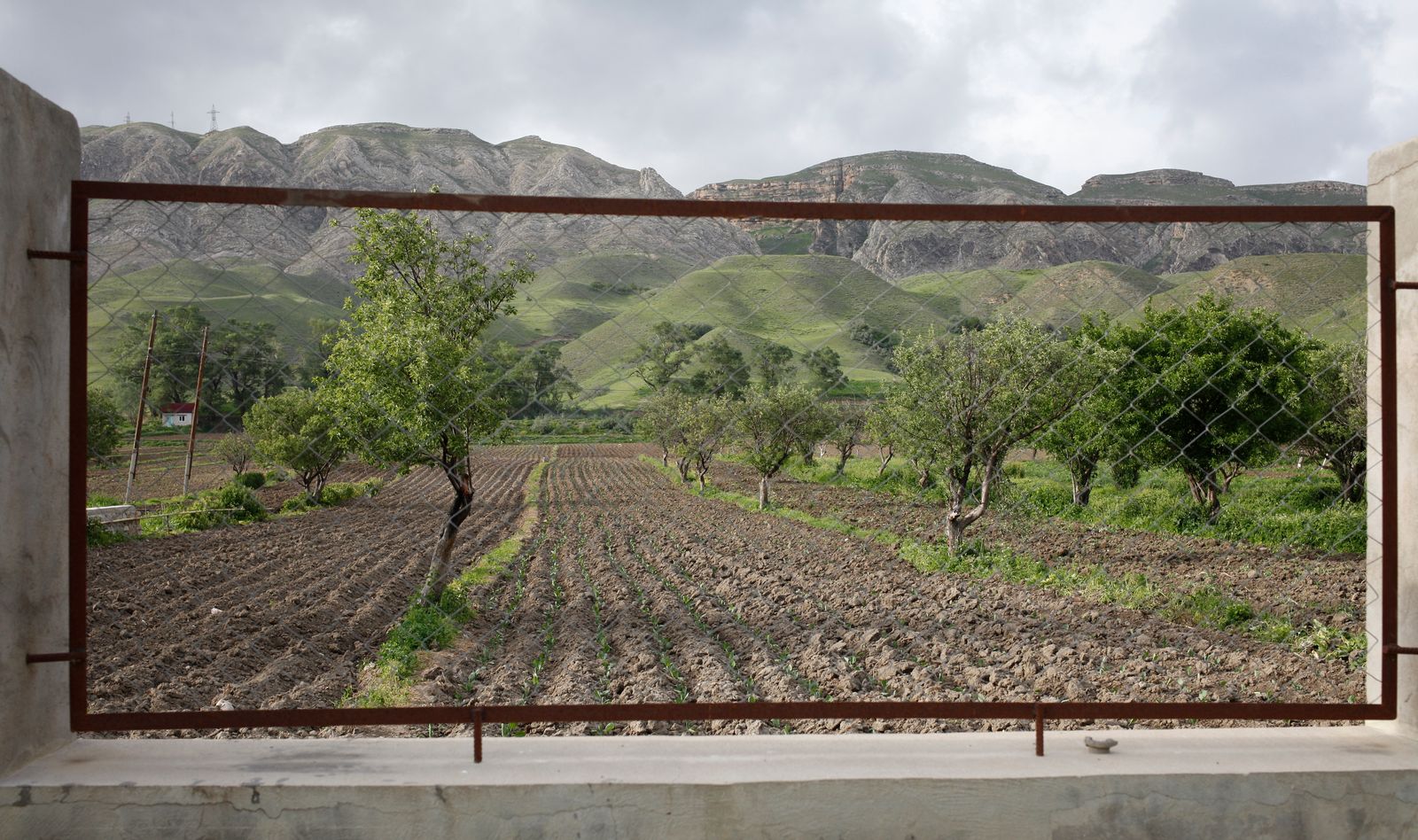 © EDUARD KORNIYENKO - A view on a garden in the mountains of Dagestan.