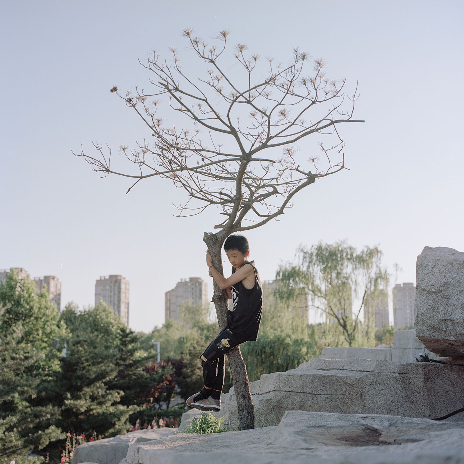 © Pang Hai - Image from the The Garden's crossroads photography project