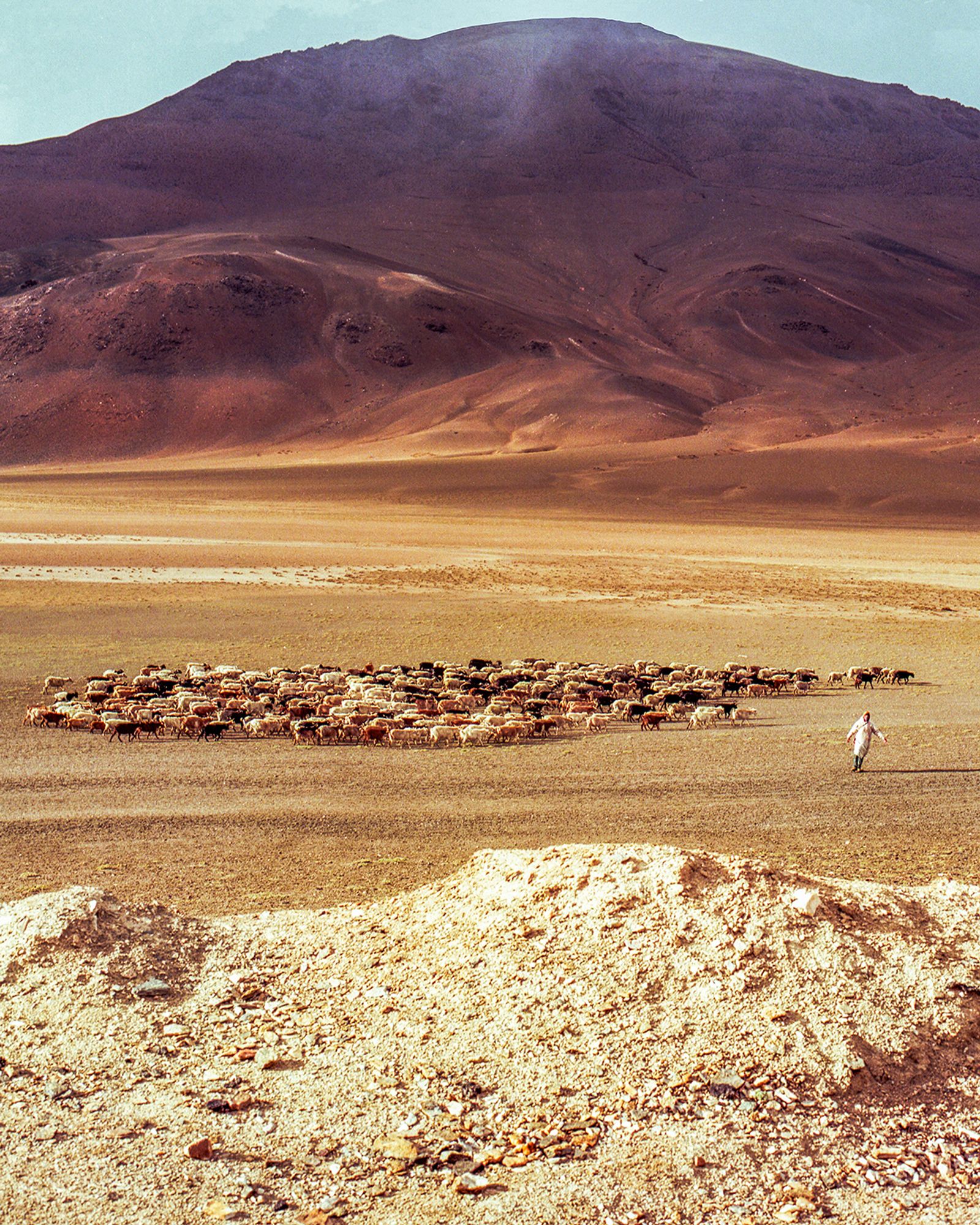 © Aaryan Sinha - Image from the This Isn't Divide and Conquer photography project