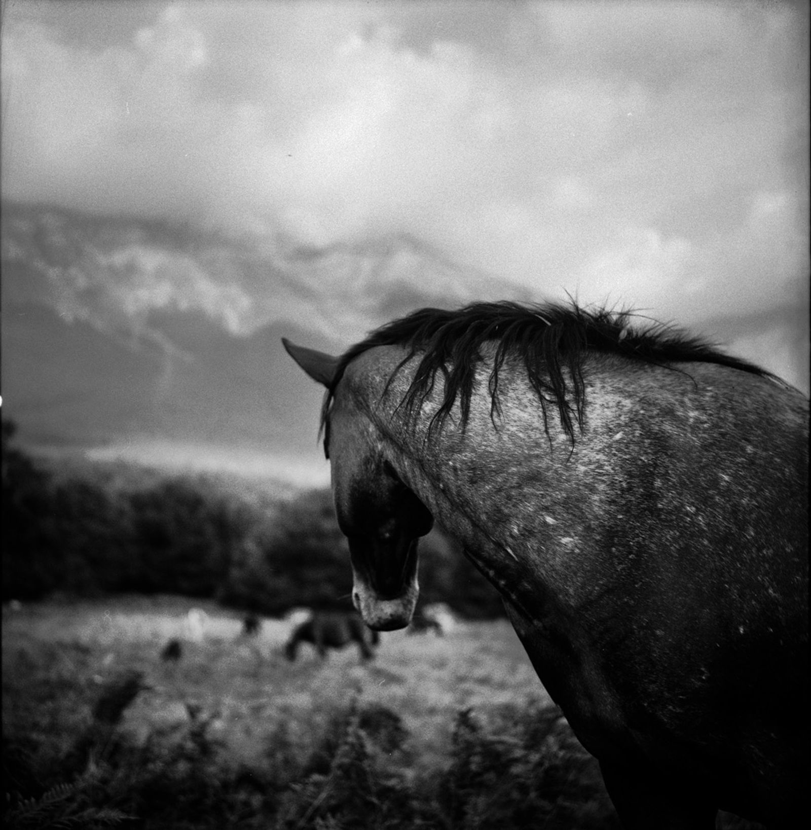 © Sabrina Caramanico - Image from the The Secrets of the Mother Mountain photography project