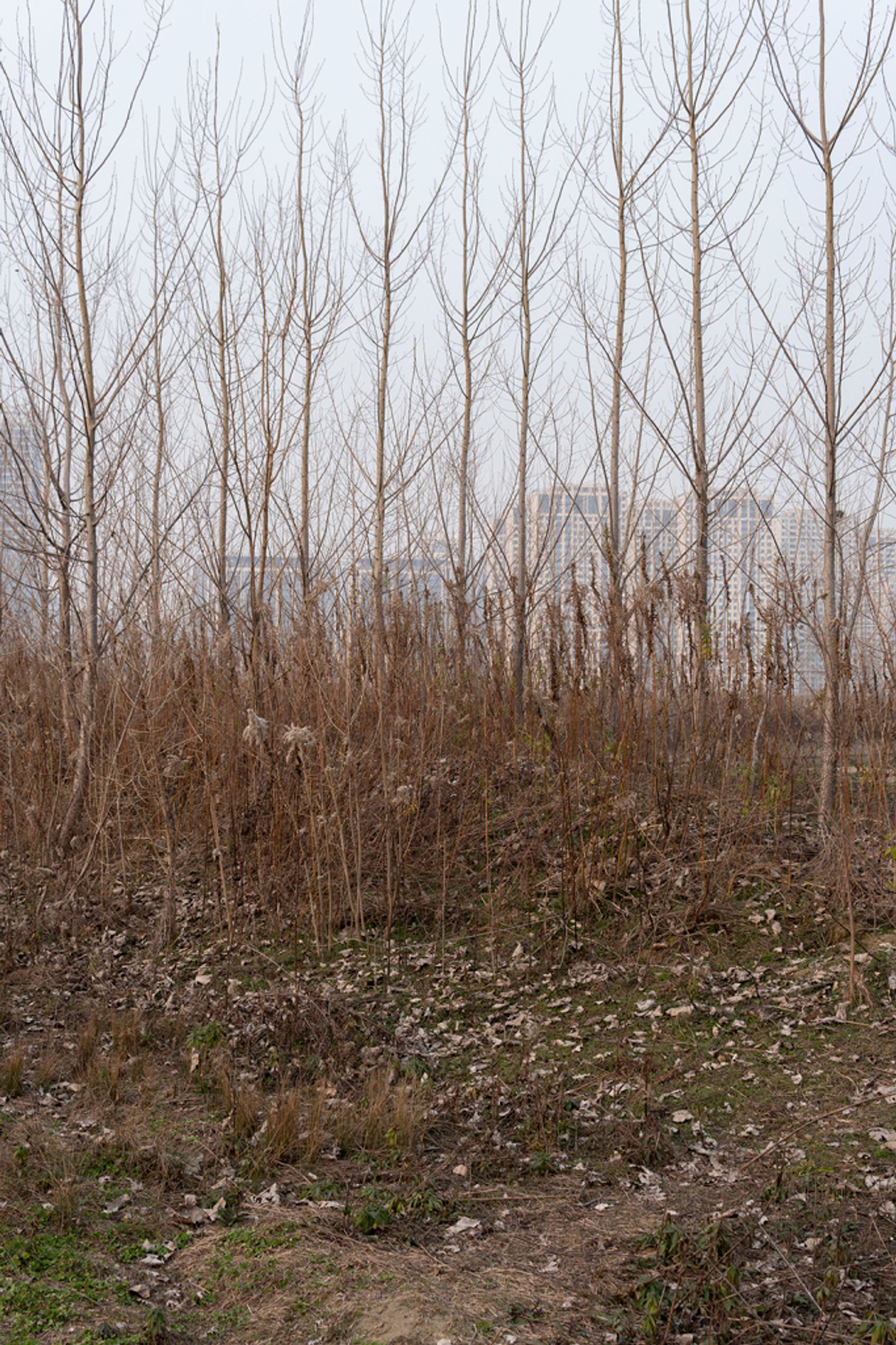 © Ihor Dudnyk - Image from the Hidden photography project