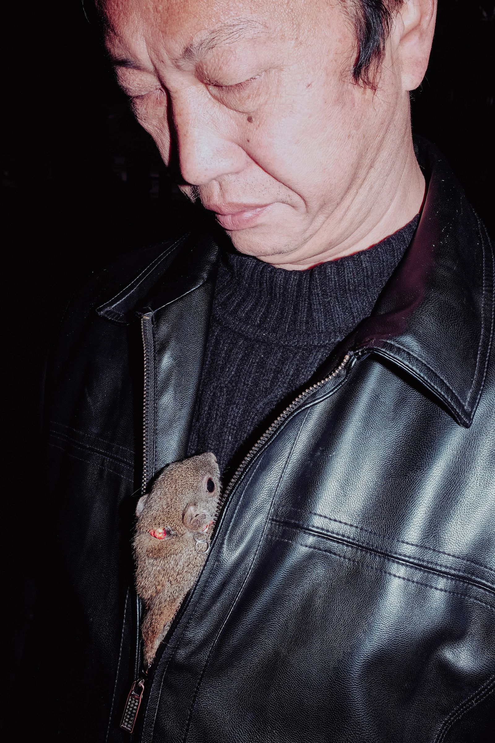 © Ge Zeng - China,2017