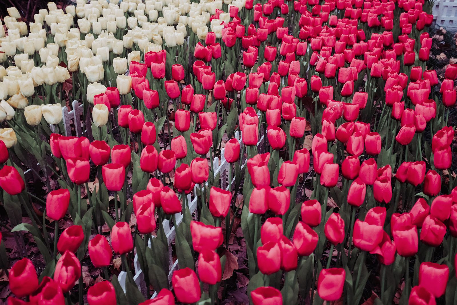 © Ge Zeng - China,2016