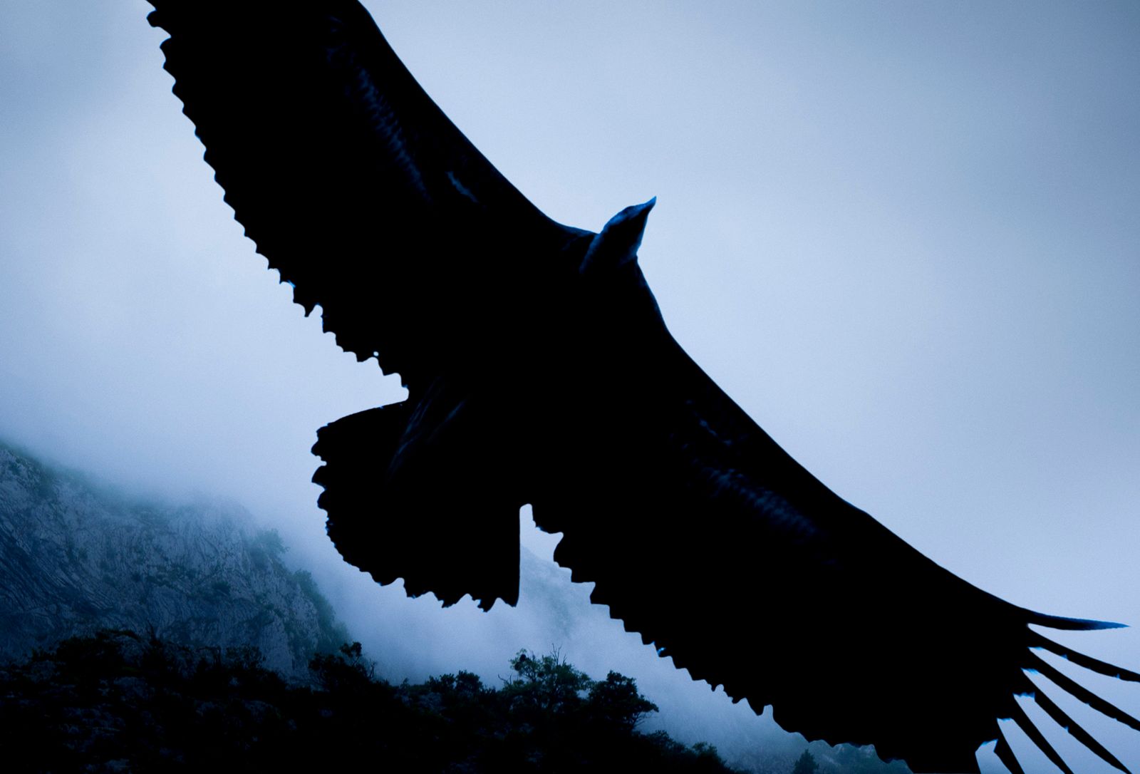 © Antonio Guerra - Image from the La Luz Que Nos Ciega photography project