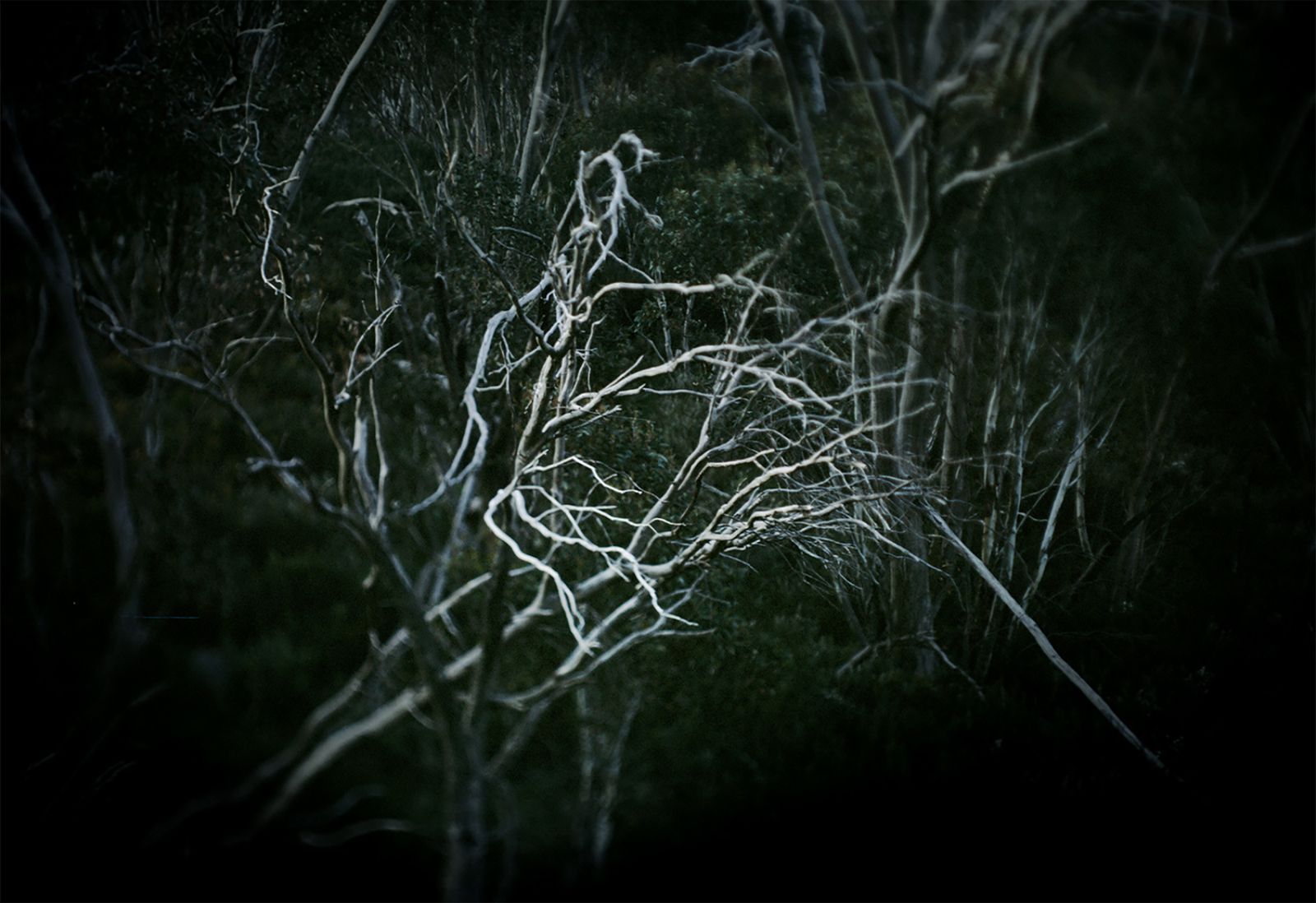 © Aletheia Casey - Image from the The Dark Forgetting photography project
