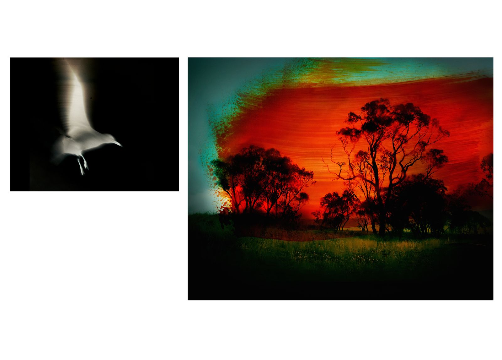 © Aletheia Casey - Image on left: A bird flies over a burnt landscape.Image on right: A reimagined landscape, following a wildfire.