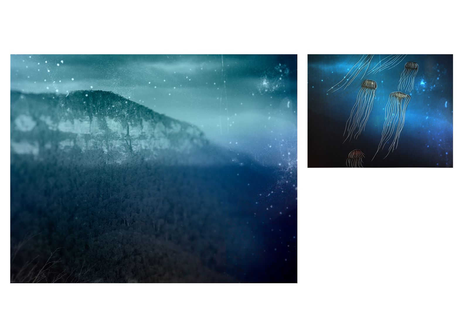 © Aletheia Casey - Image on left: A reimagined scene of the Blue Mountains.Image on right: Jellyfish, Horniman Museum, London.