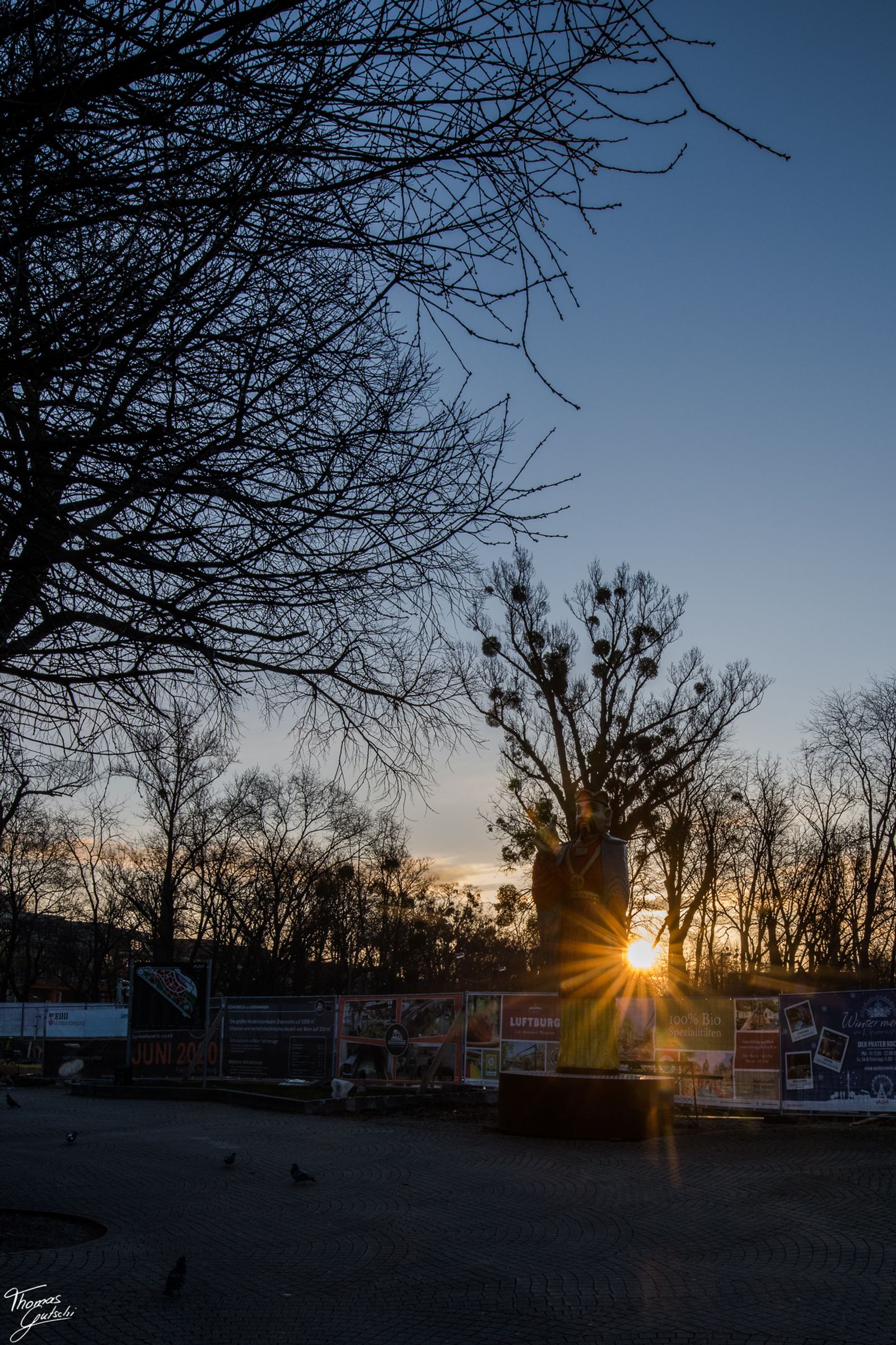 © Thomas Gutschi - Morning sun