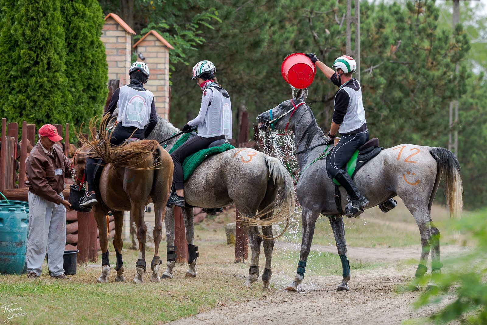 © Thomas Gutschi - WaTer Stop