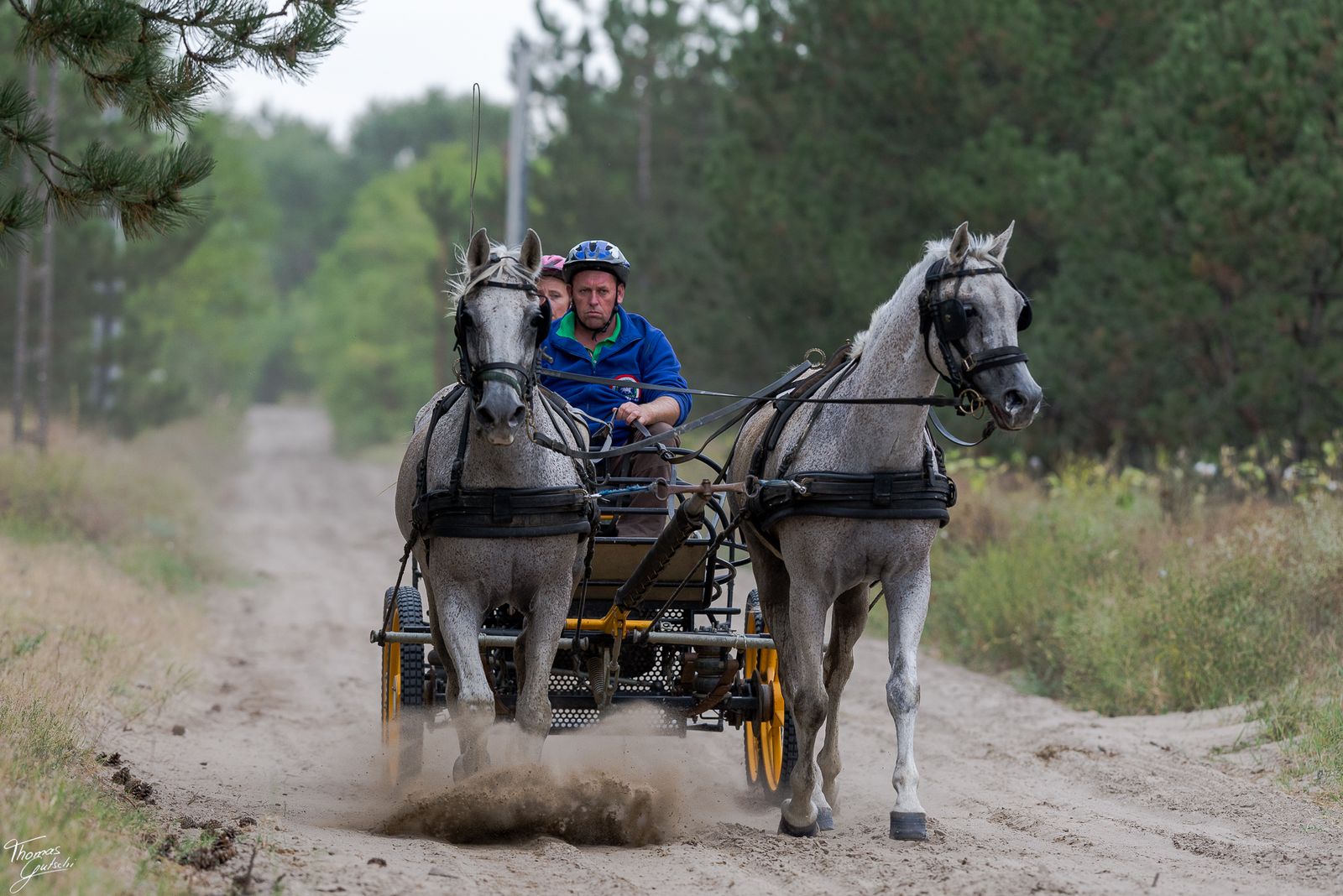 © Thomas Gutschi - carriage