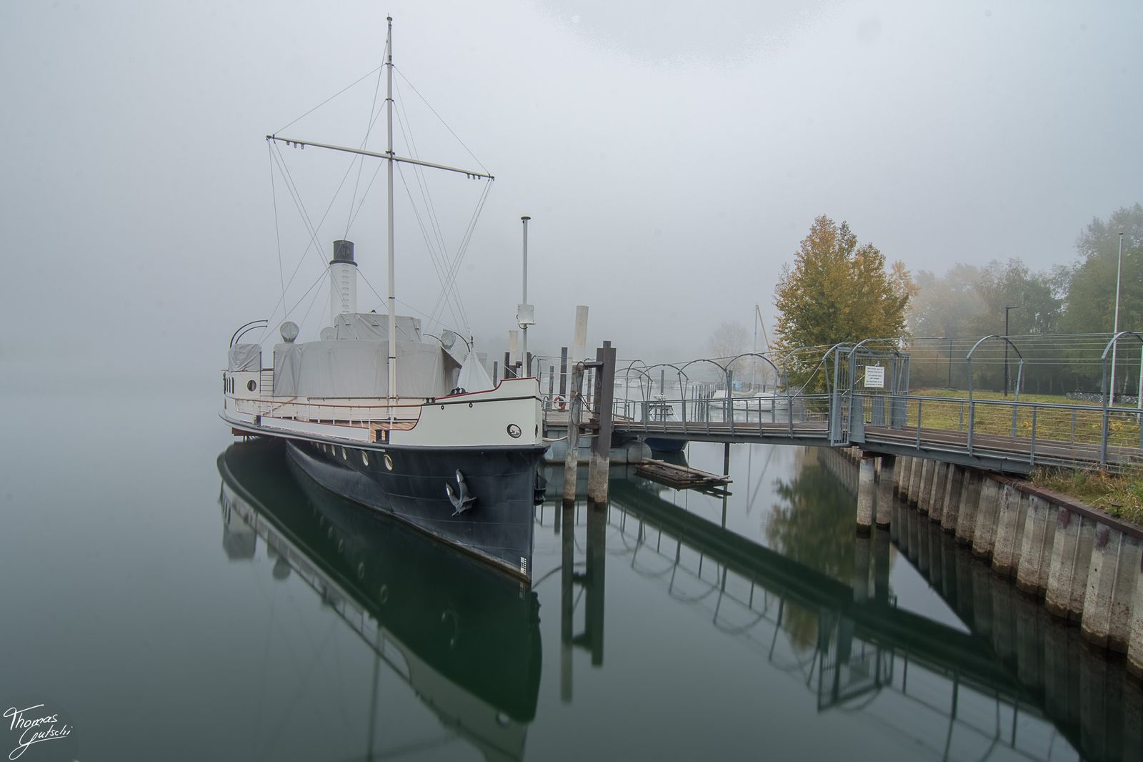 © Thomas Gutschi - Steamship Hohentwil in the morning fog