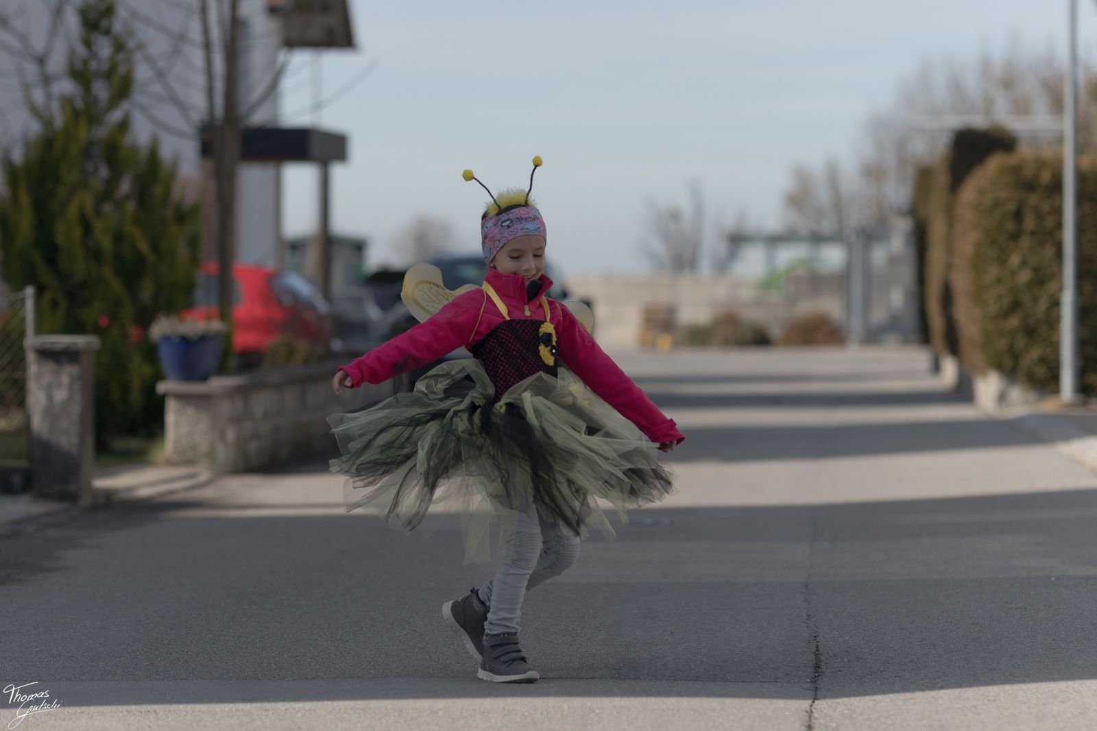 © Thomas Gutschi - dancing bee