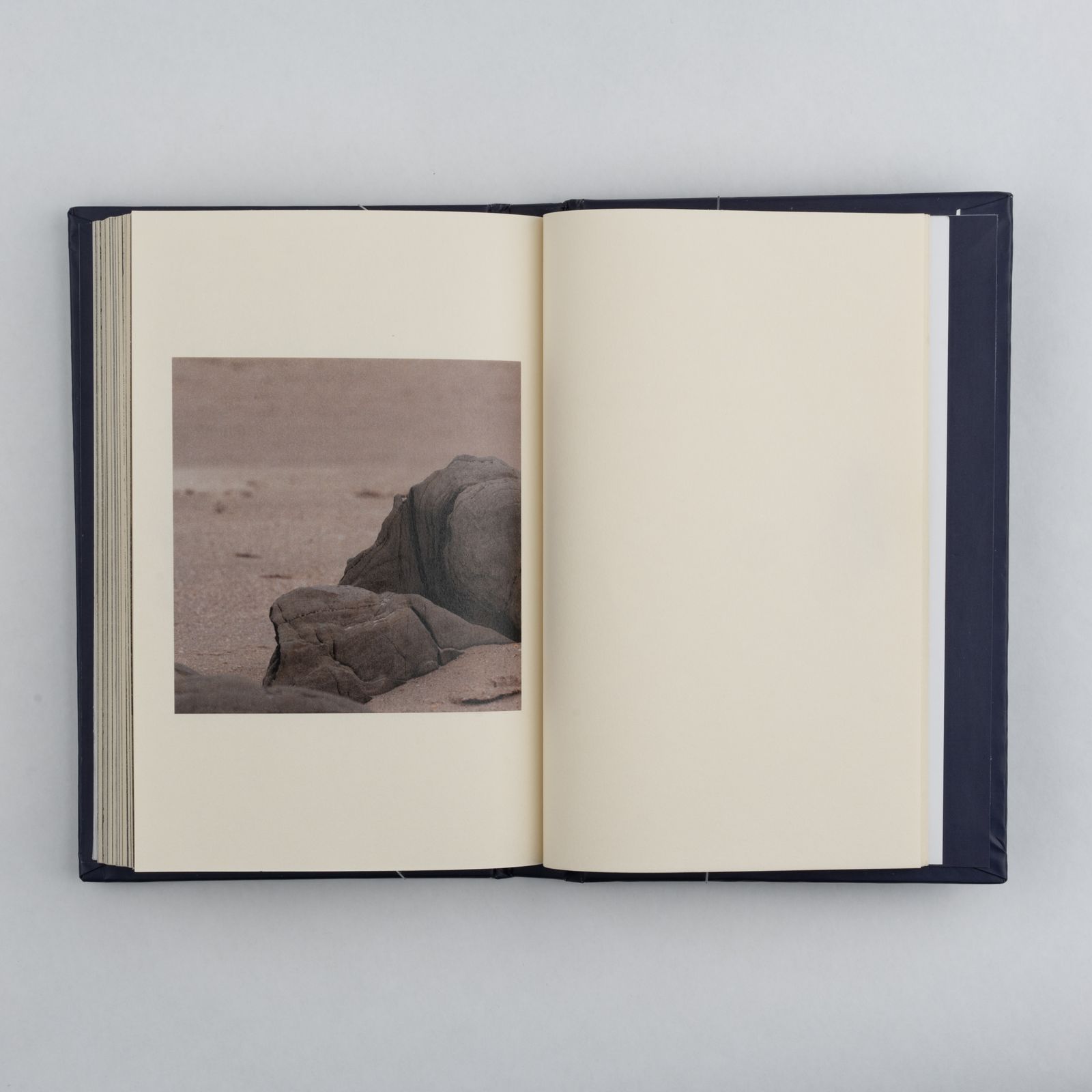 © Gustavo Balbela - Image from the The Log from the Sea of Cortez (Revisited) photography project