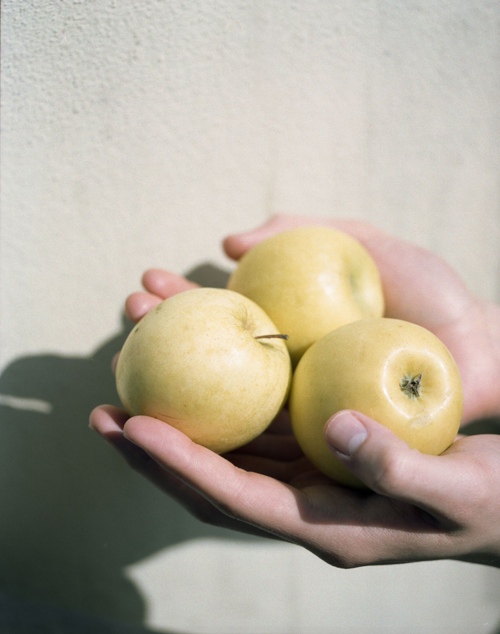 © Amber Marie - Fin and apples