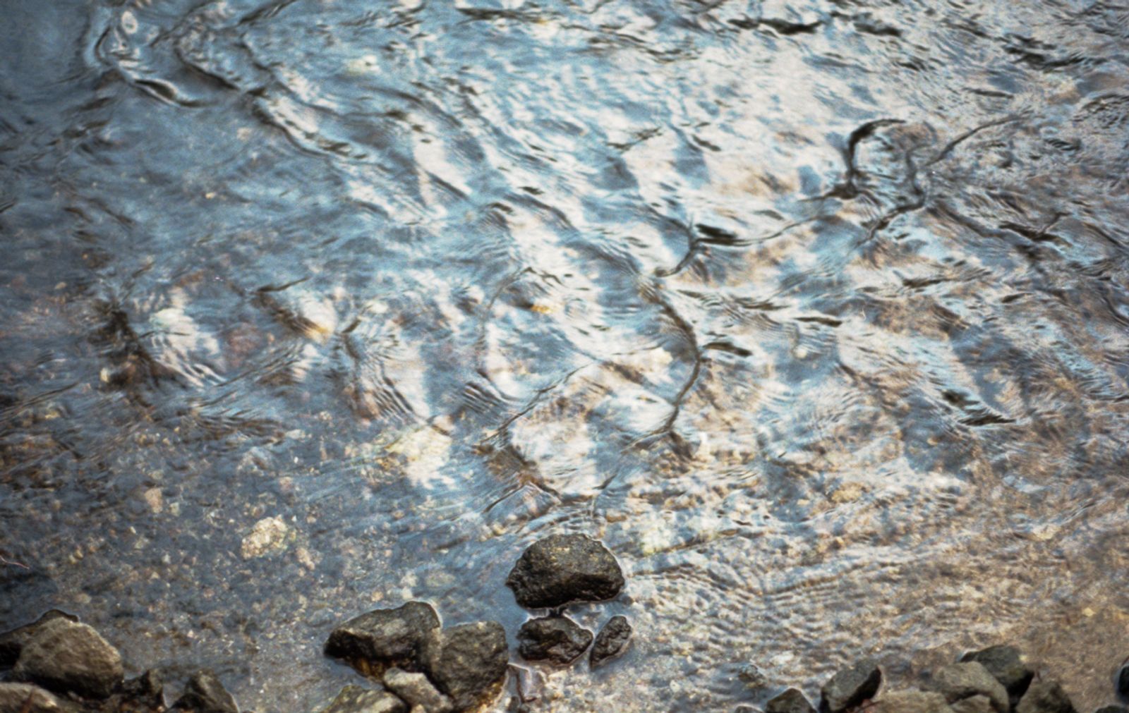 © Amber Marie - Swanpool in the morning