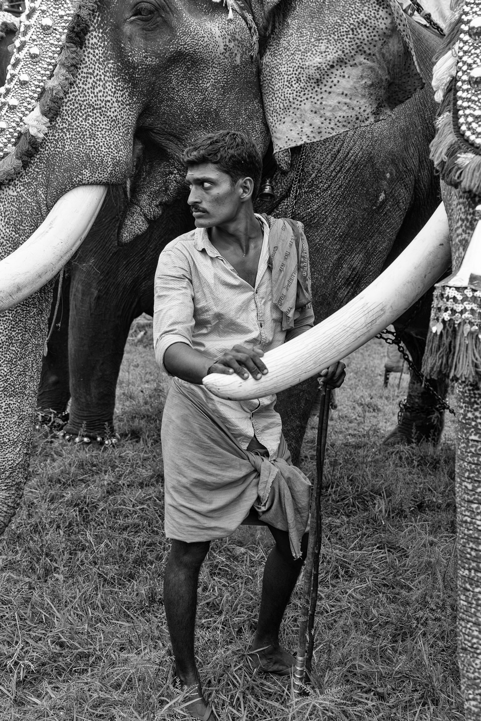 © Kip Harris - Elephant Minder, Kerala
