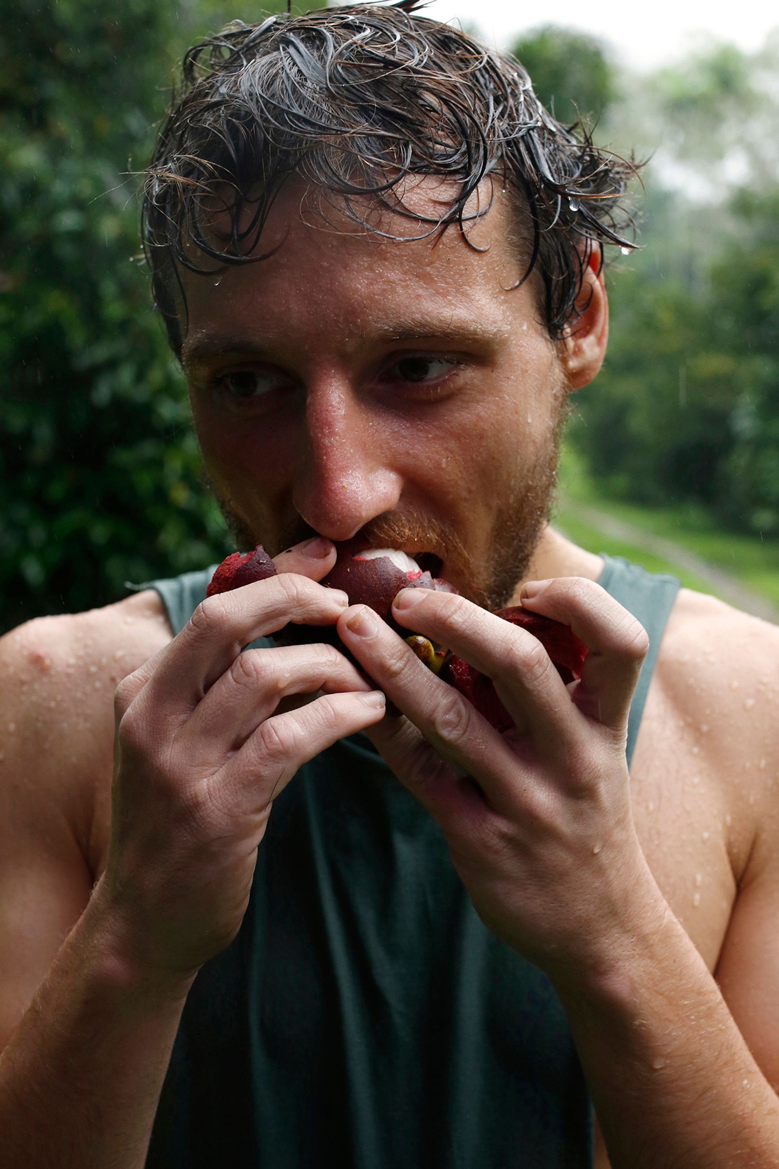 © Alexandra Nielsen - Owen's mangosteen