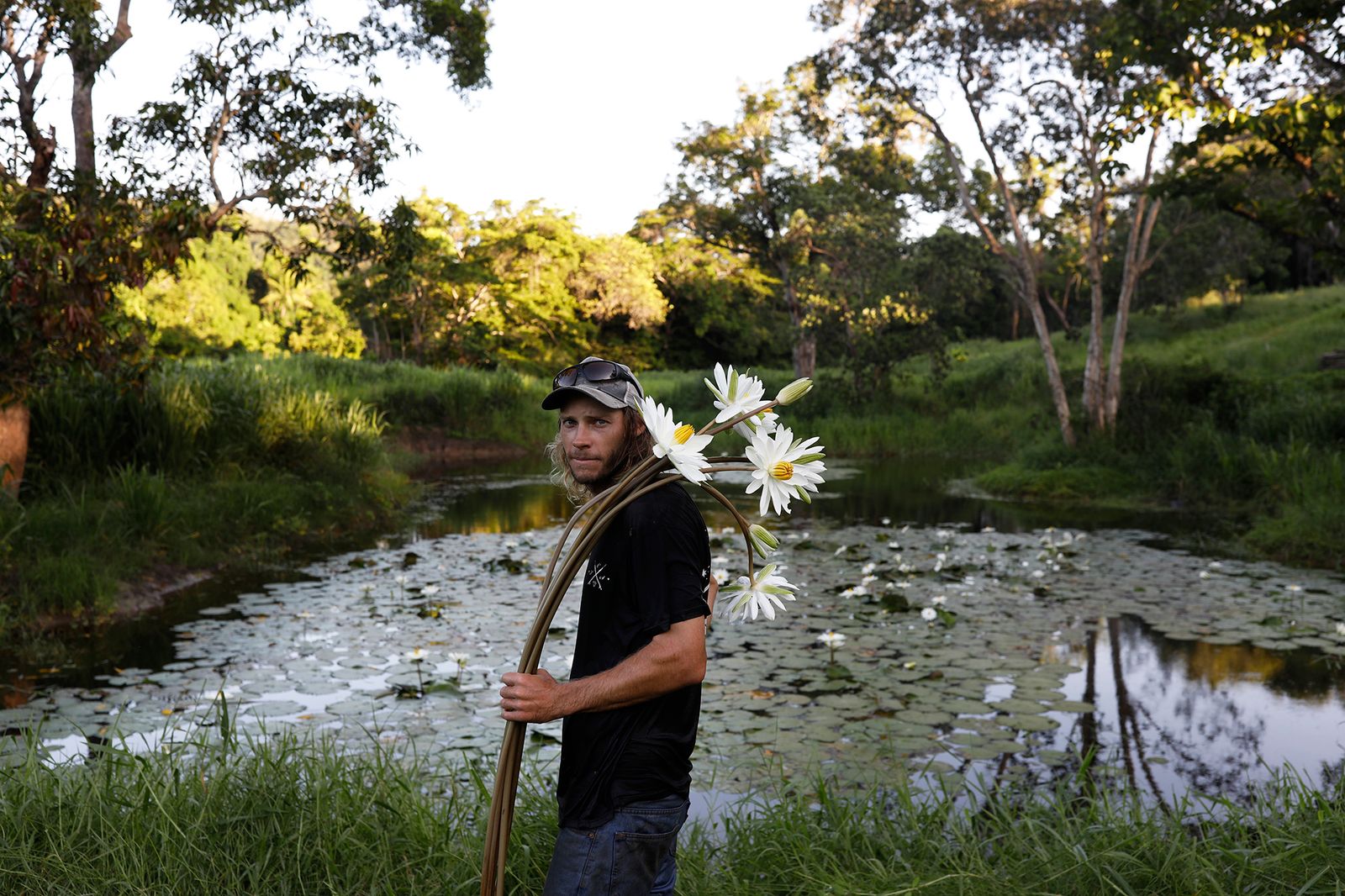 © Alexandra Nielsen - Quanah's waterlilies