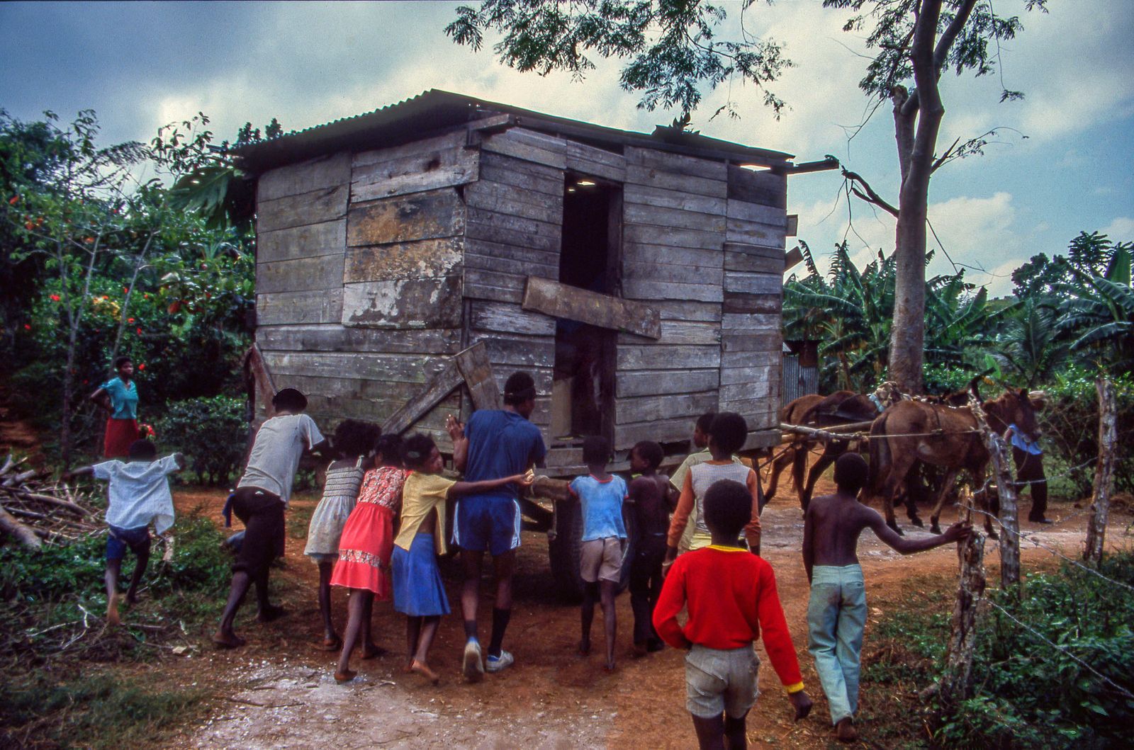 © Steven Edson - It takes a village to move a wooden shed by horseback through the small rural roads of Jamaica.