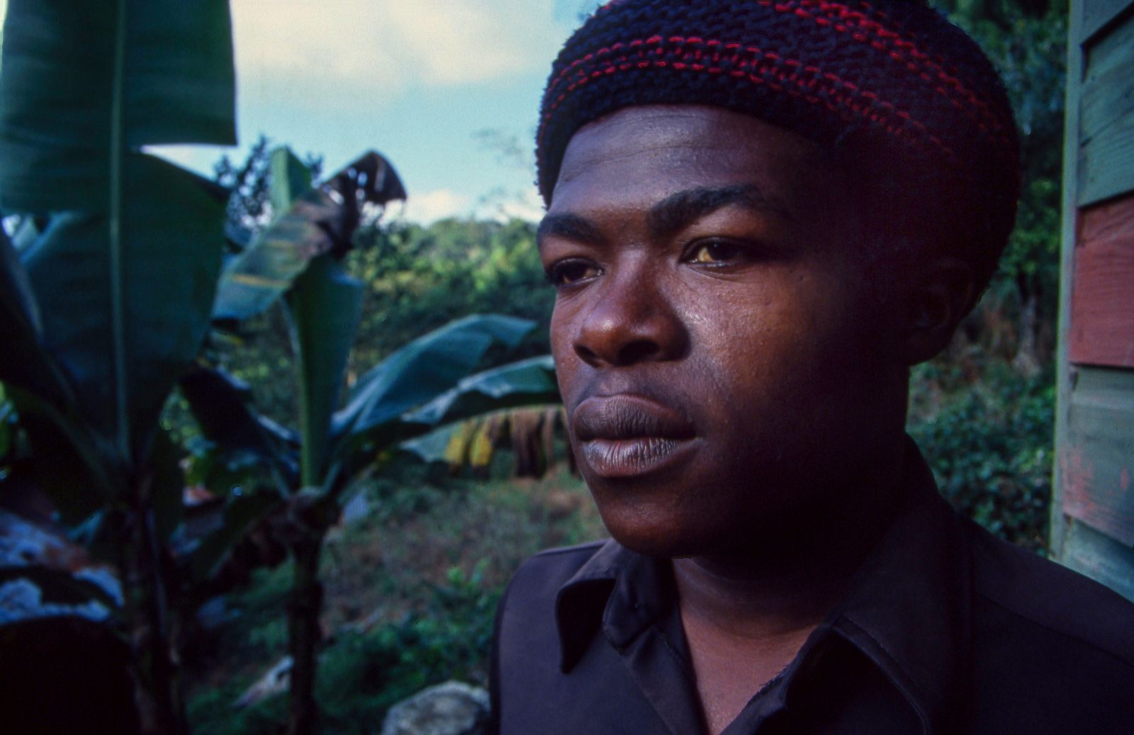 © Steven Edson - Portrait of a man up in the rural center of Jamaica.