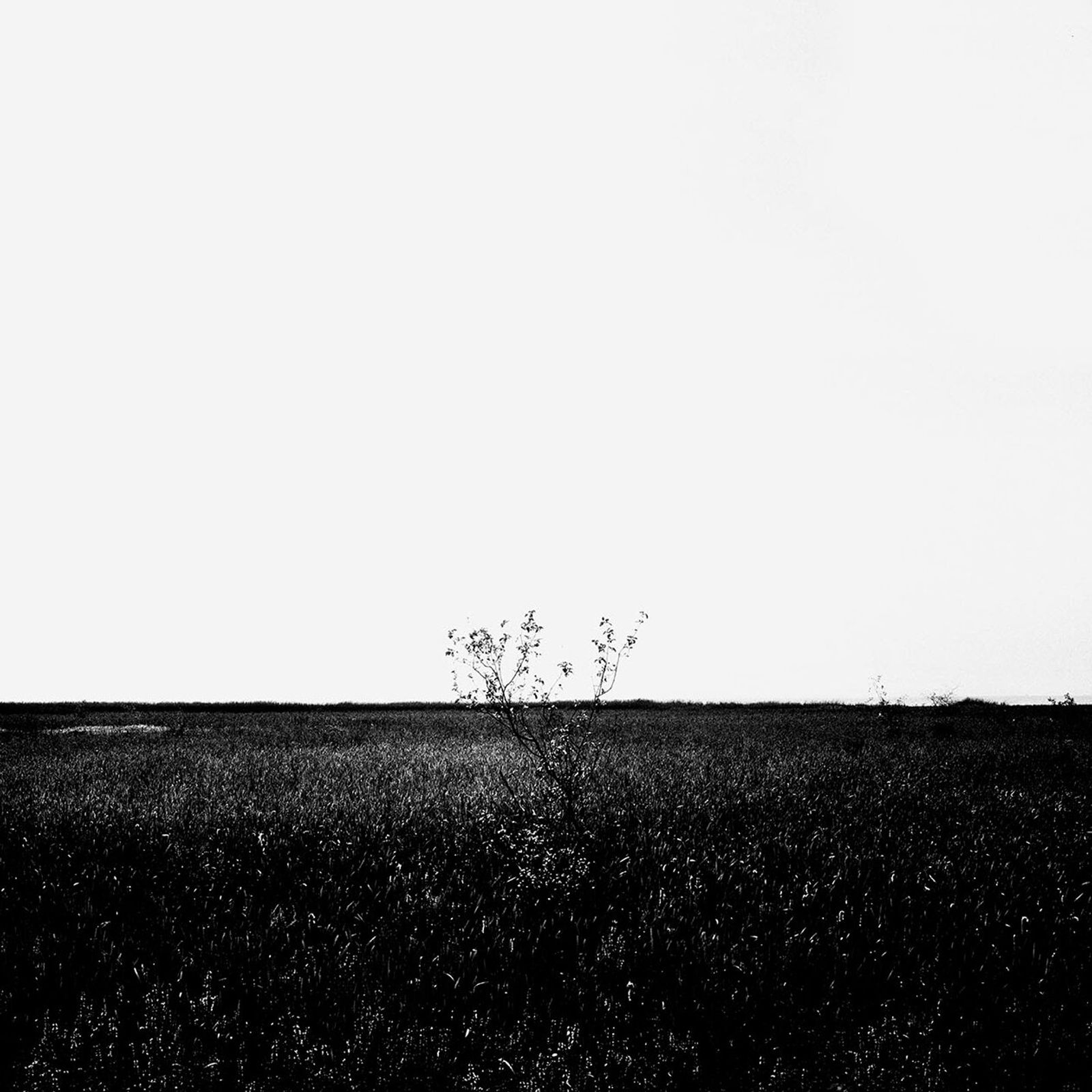 © Osheen Harruthoonyan - RIVER ROAD SUNSET IIIToned gelatin silver print