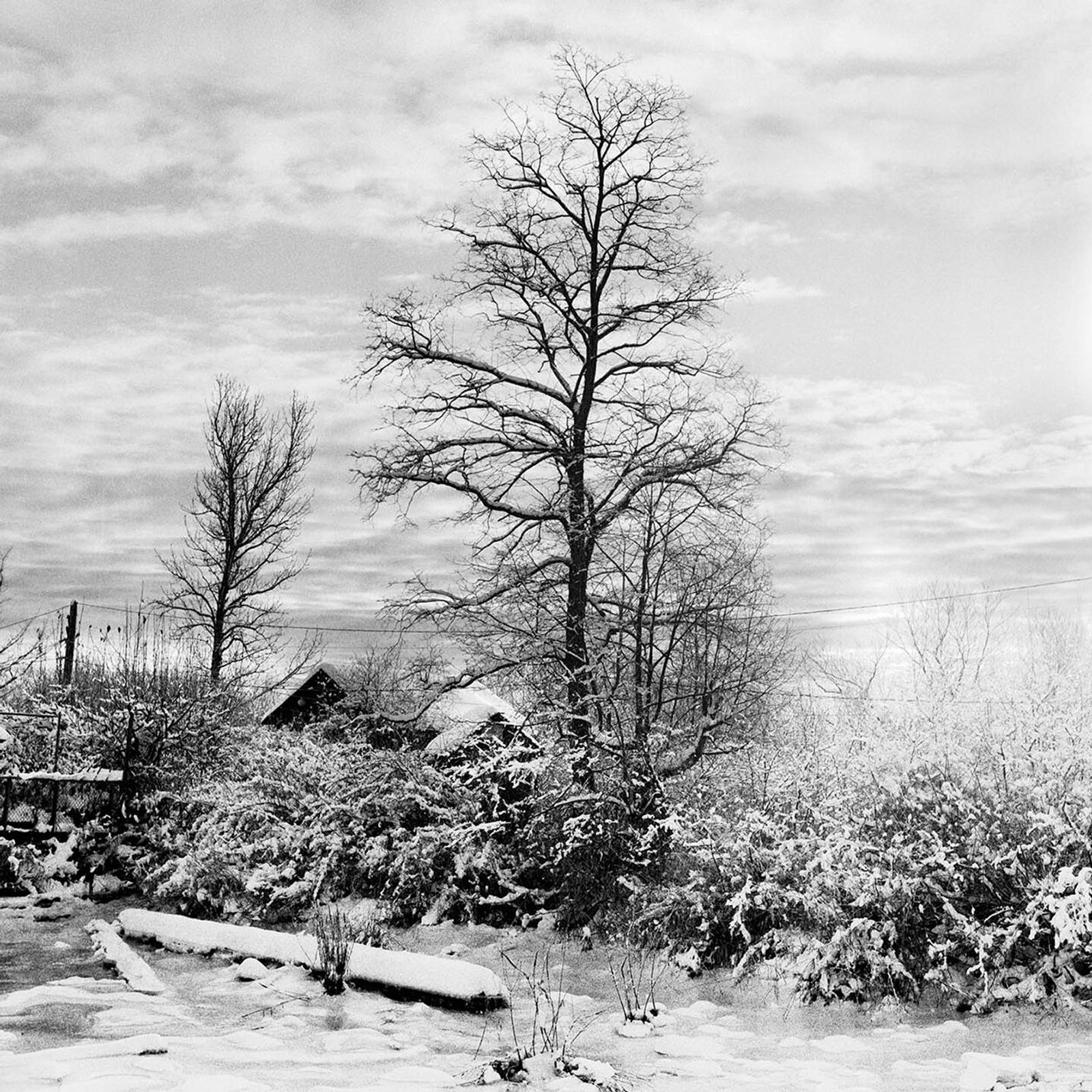 © Osheen Harruthoonyan - FINN SLOUGH WINTERToned gelatin silver print