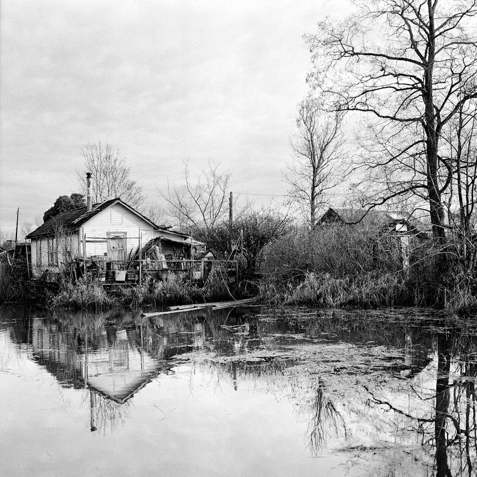 © Osheen Harruthoonyan - WHITE HOUSE & TREE, FINN SLOUGHToned gelatin silver print