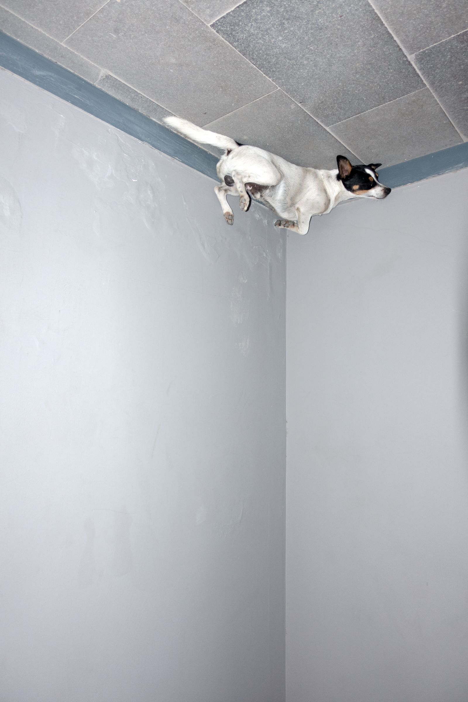 © Edition Patrick Frey - Image from the Widersprüchliche Bewegungsreize by huber.huber photography project