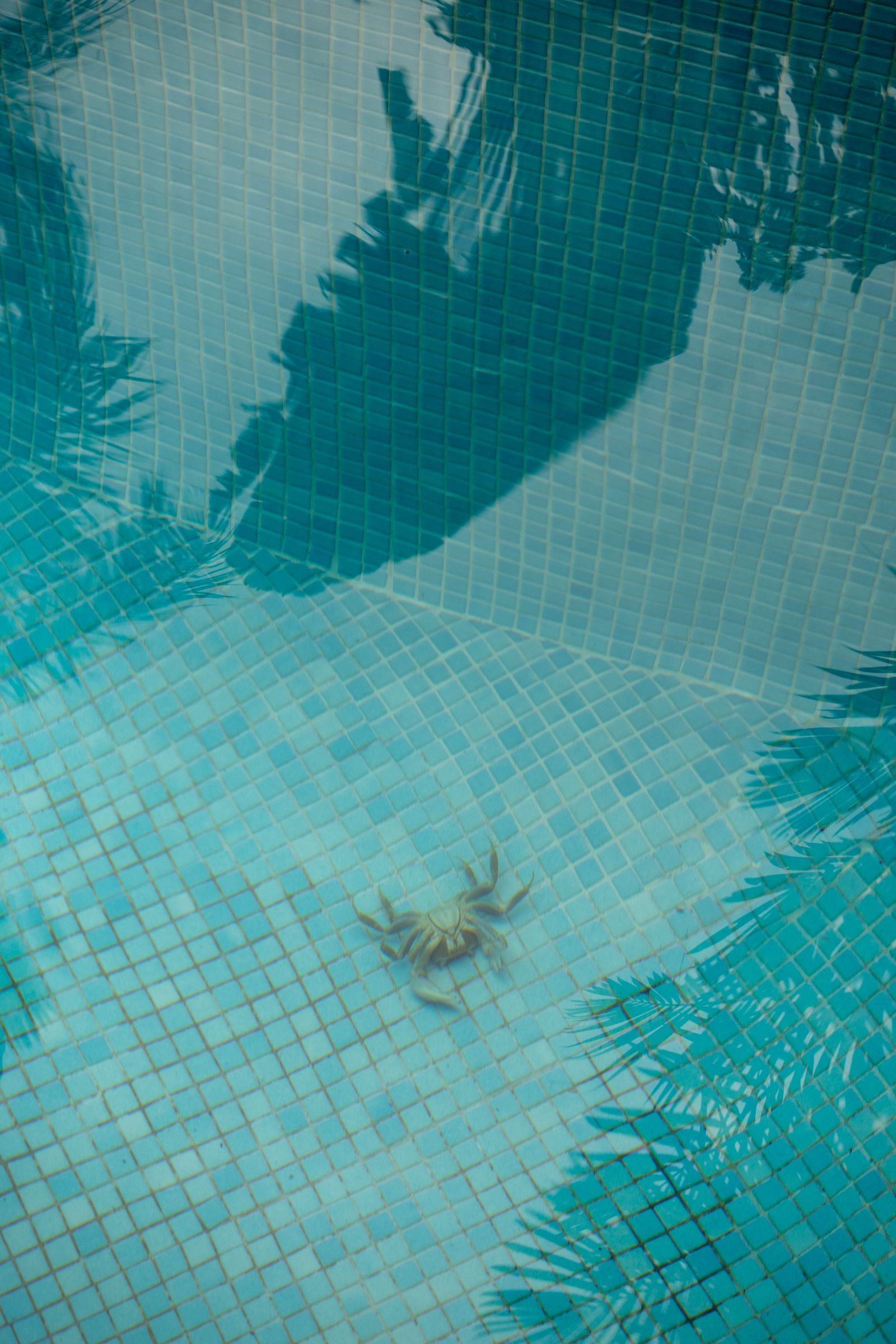 © Edition Patrick Frey - Image from the Widersprüchliche Bewegungsreize by huber.huber photography project