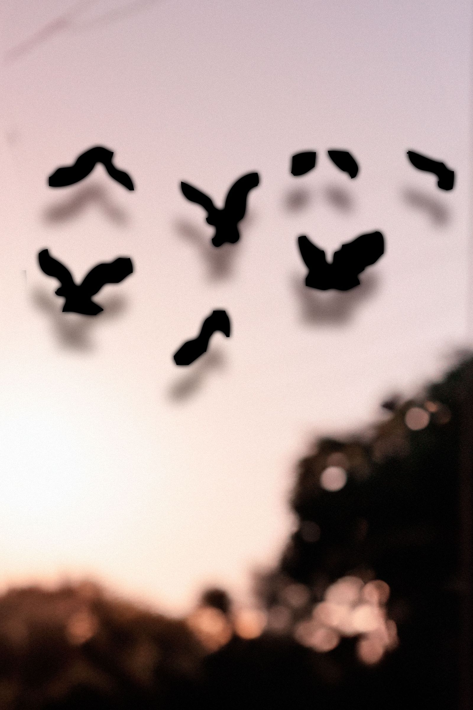 © German Iraki - Image from the Get Nuff Nuff Data vol. 1 photography project