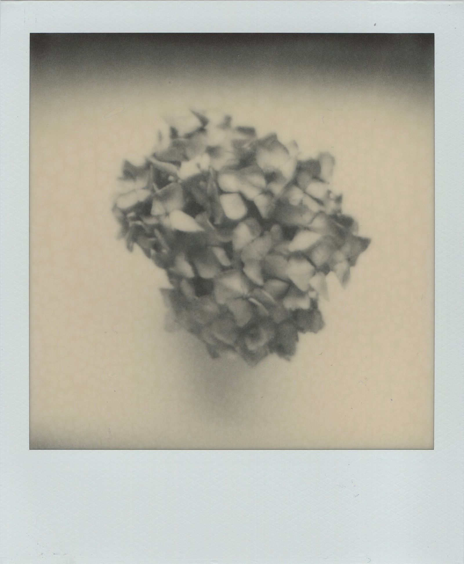 © Canyon - Image from the Have you any dreams you'd like to sell? photography project