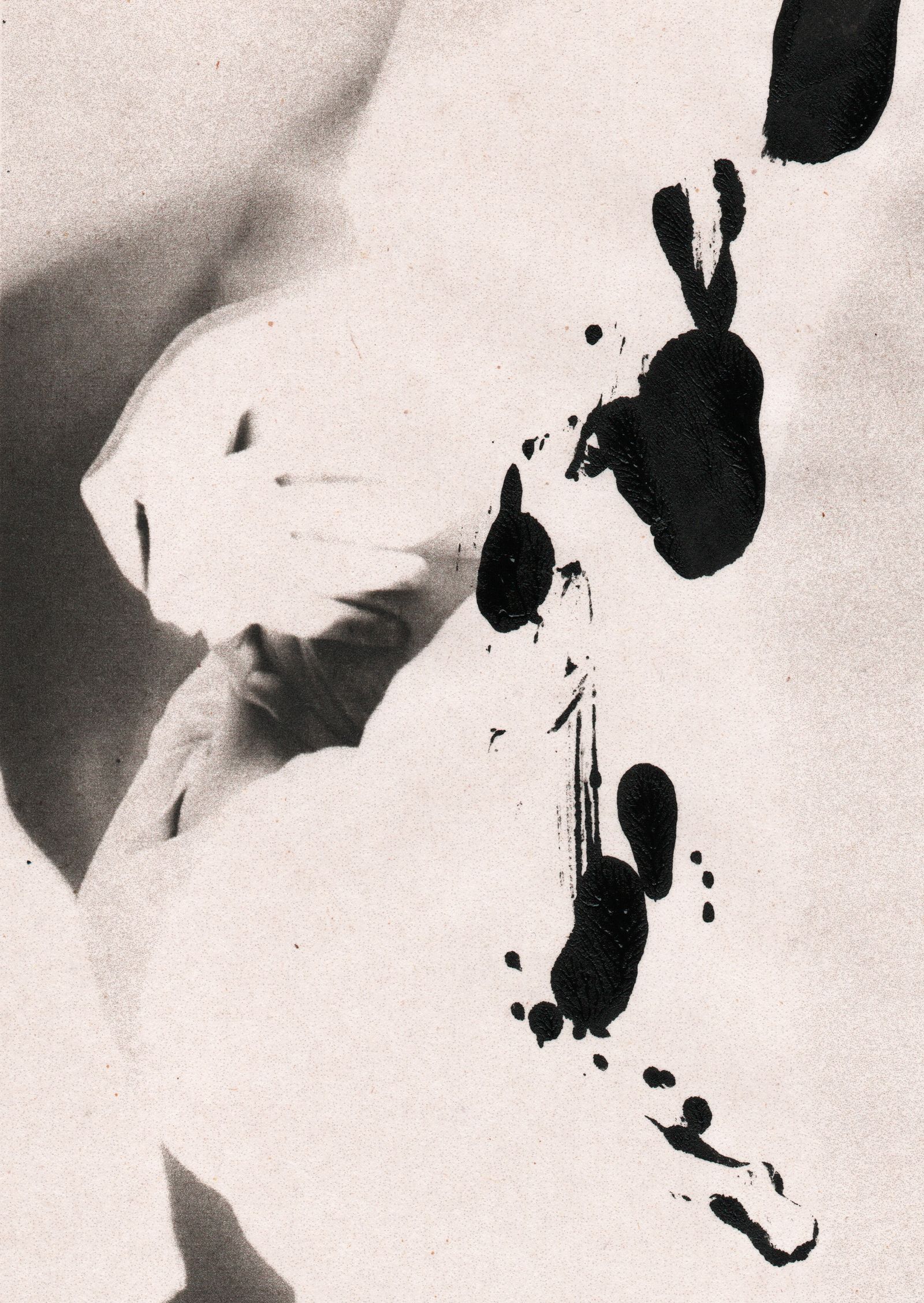© Canyon - Image from the Plateau photography project