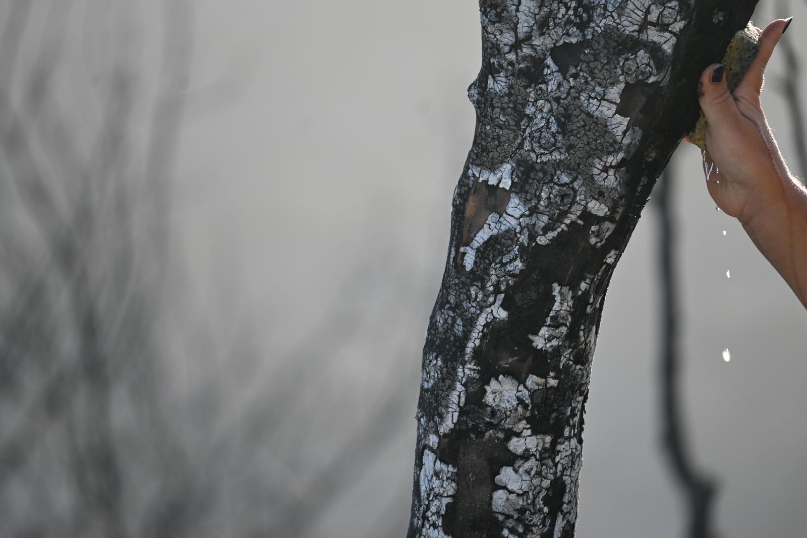 © Demetra Nicodemou - Image from the CARE FOR SELF 'φροντίδα' photography project