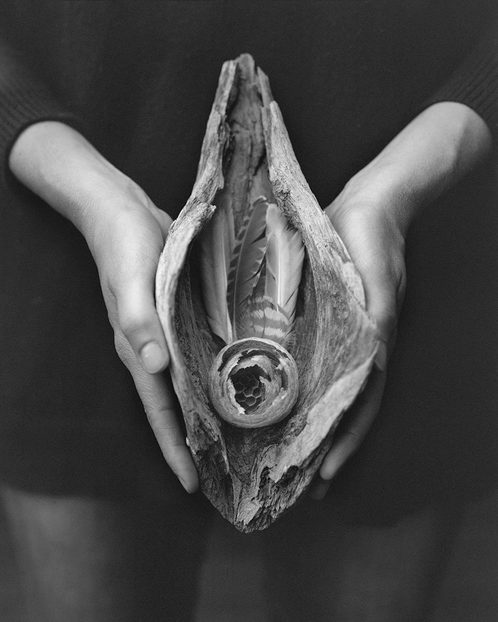 Image from a project on PhMuseum