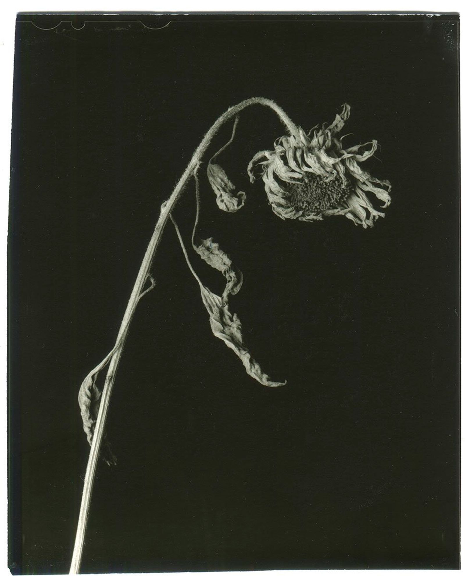 Image from a project on PhMuseum