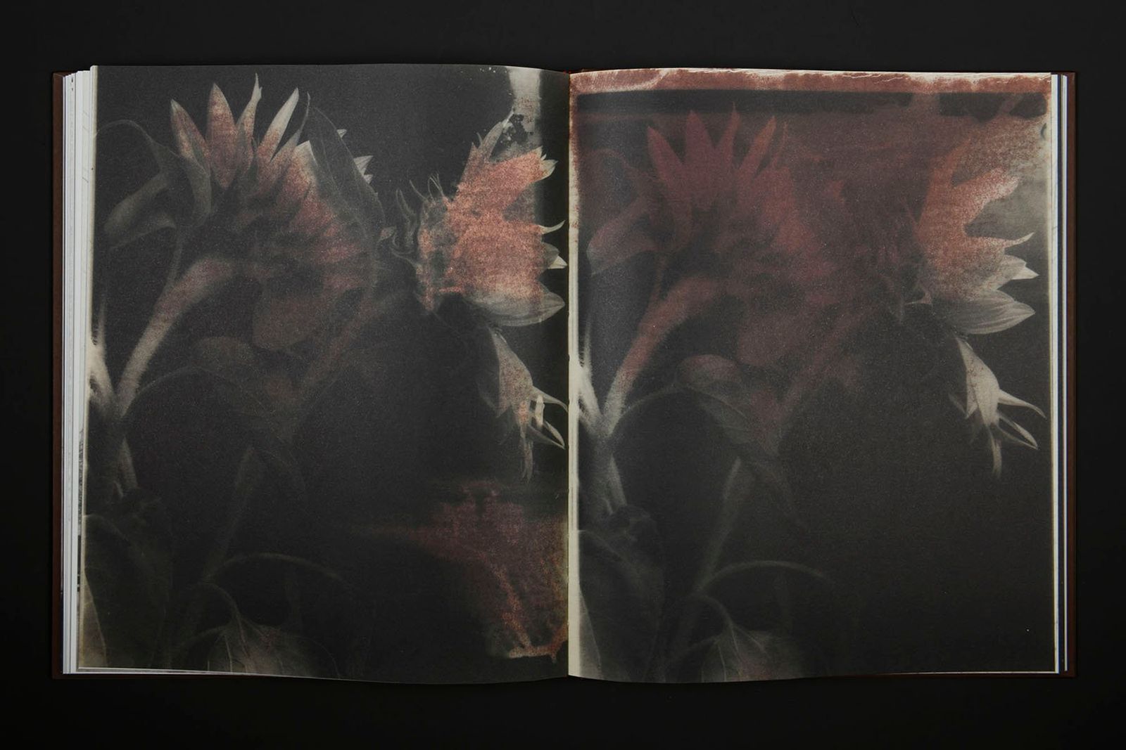 Image from a project on PhMuseum