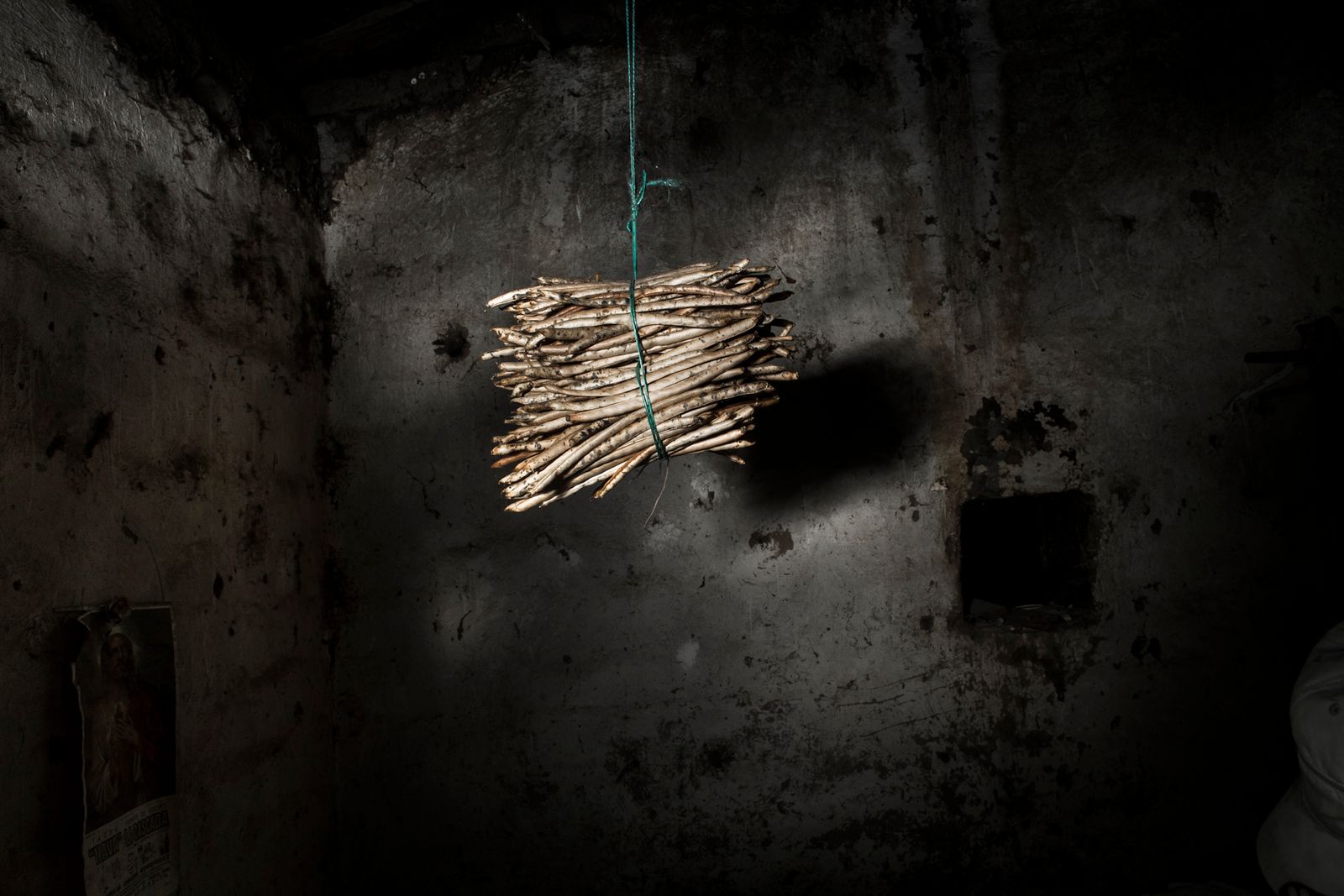© Yael Martínez - Image from the La casa que sangra II Broken Roots. photography project