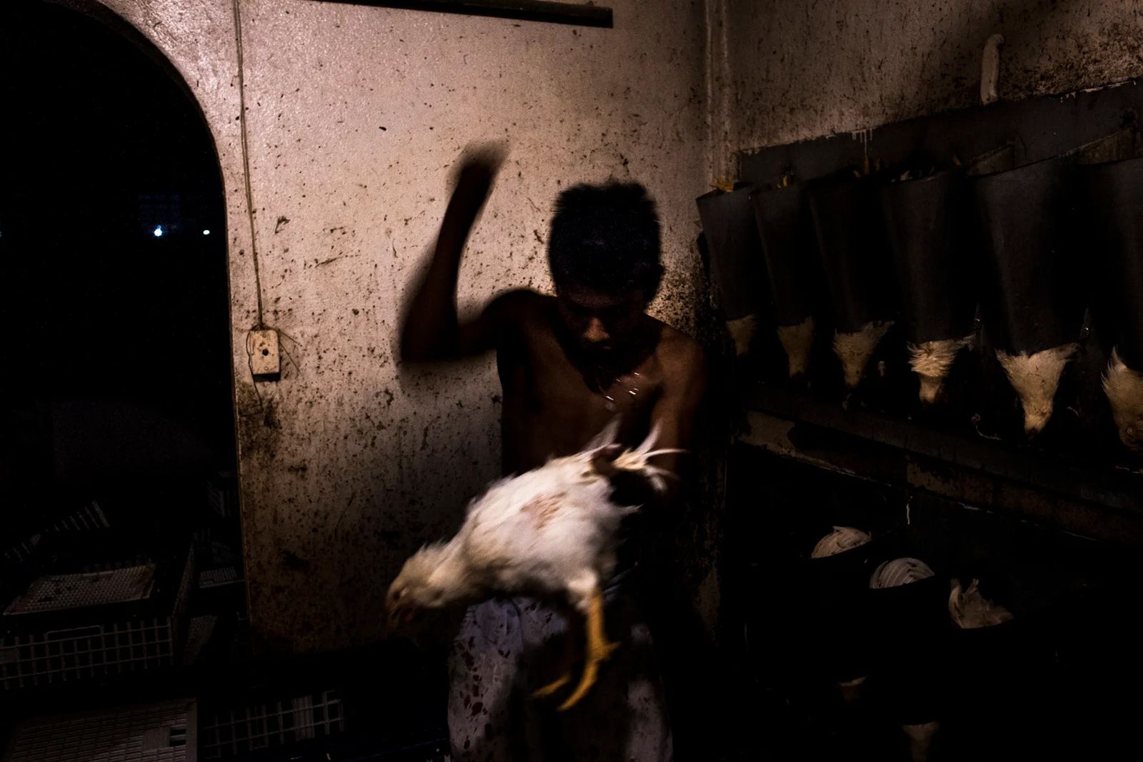 © Yael Martínez - slaugther house. The trompi working at the slaughterHouse. Acapulco Guerrero.